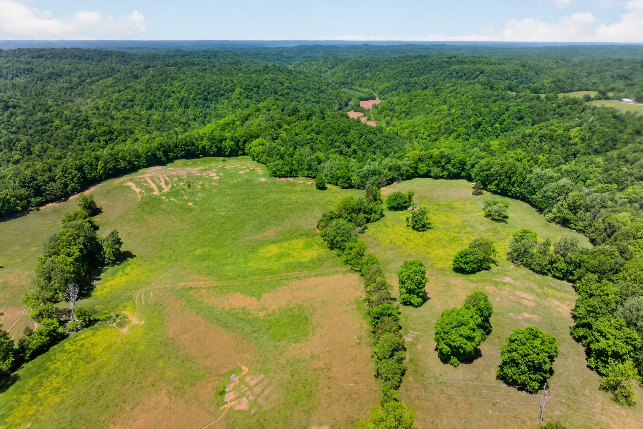 127.57 Ac Homer Watson Road Property Photo 12