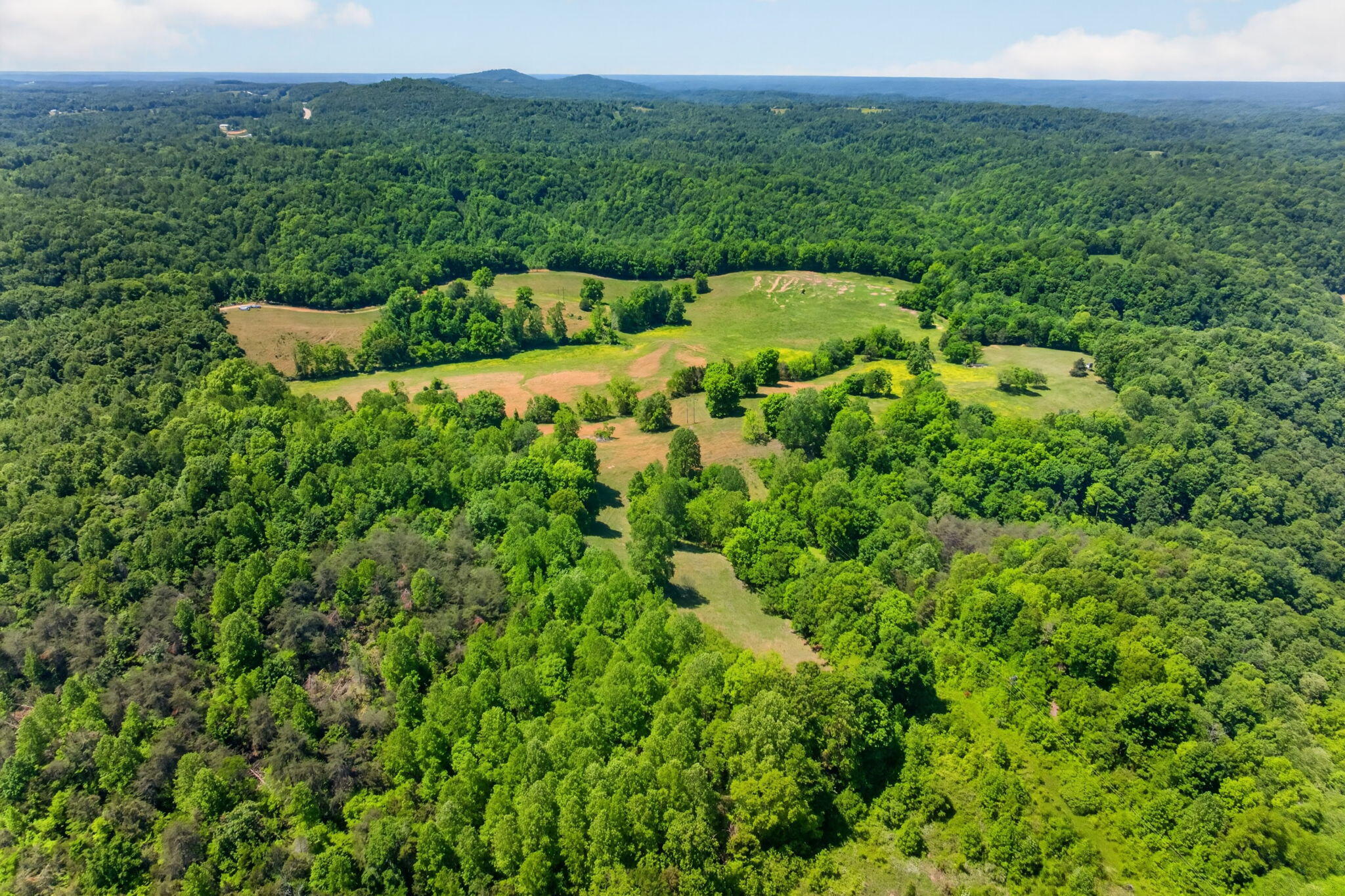 127.57 Ac Homer Watson Road Property Photo 13