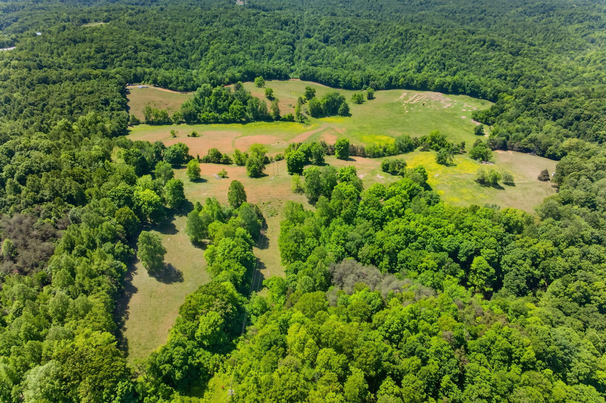 127.57 Ac Homer Watson Road Property Photo 14