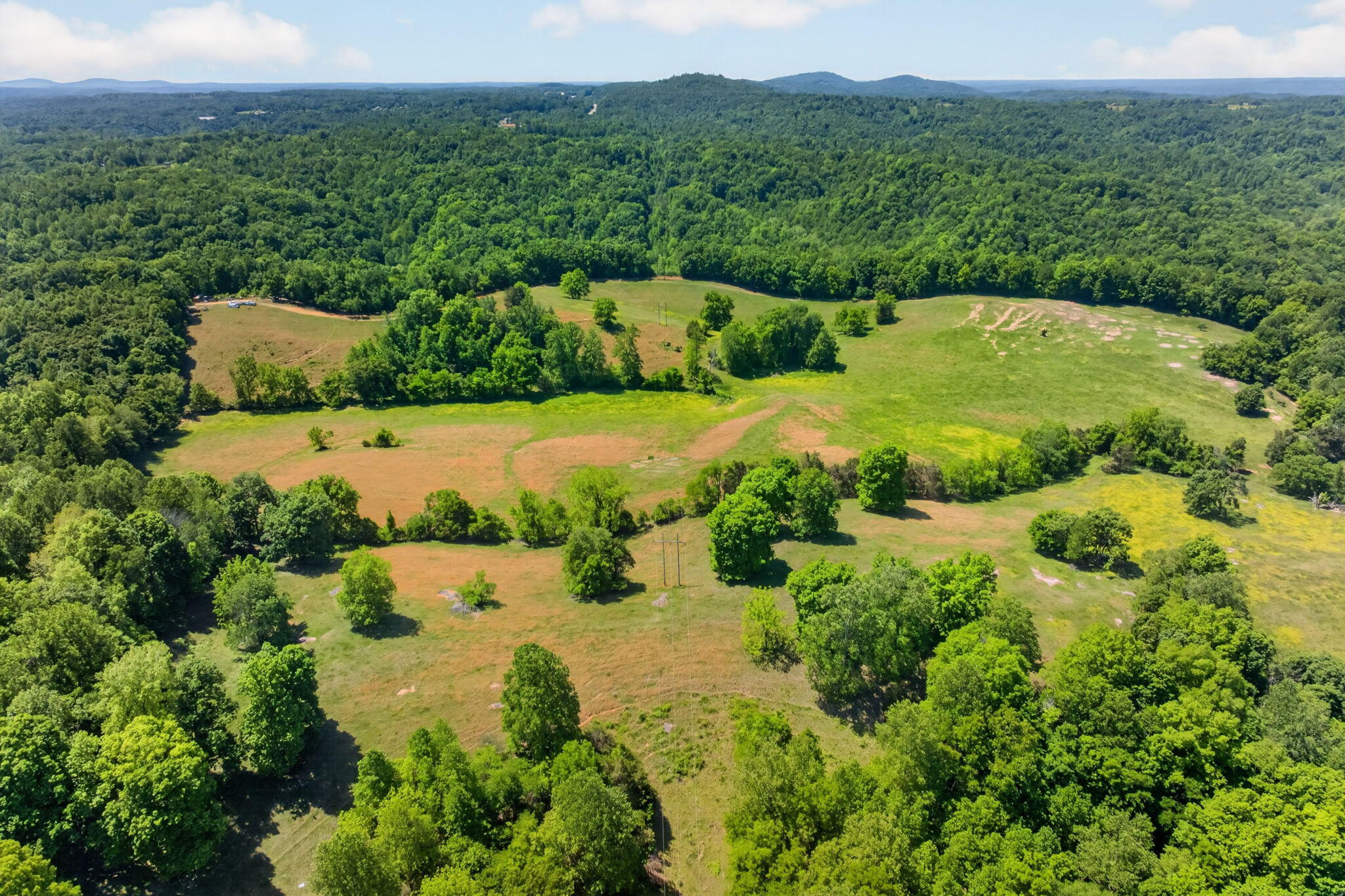 127.57 Ac Homer Watson Road Property Photo 15