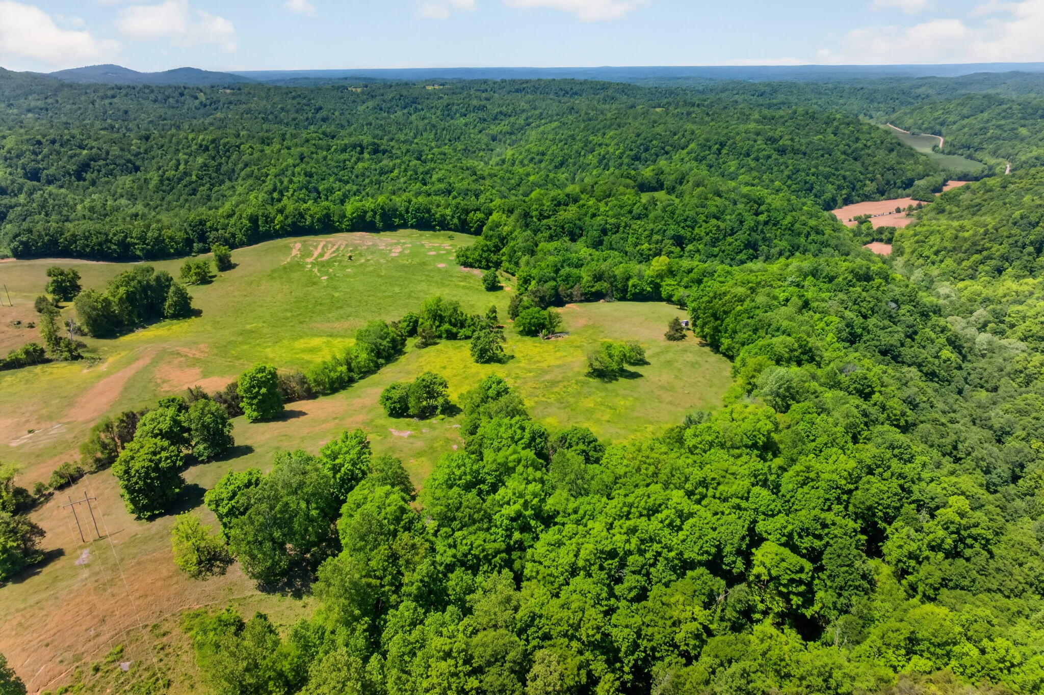 127.57 Ac Homer Watson Road Property Photo 16