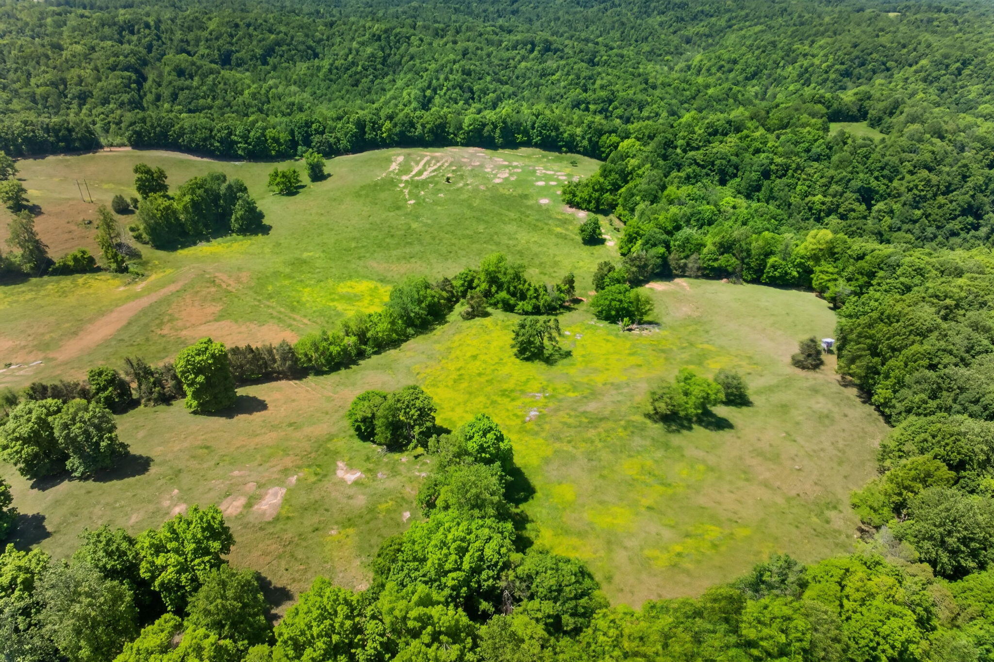 127.57 Ac Homer Watson Road Property Photo 17