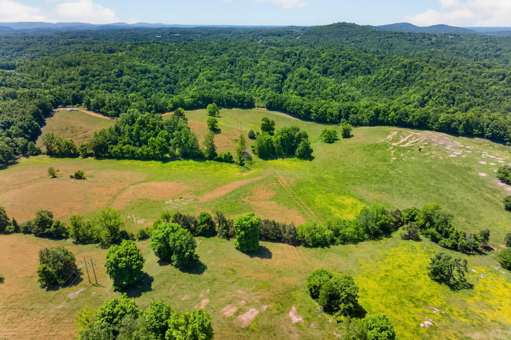 127.57 Ac Homer Watson Road Property Photo 18