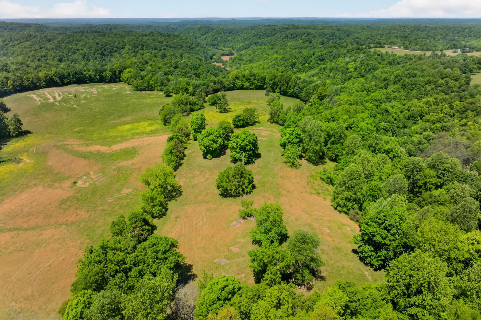 127.57 Ac Homer Watson Road Property Photo 20