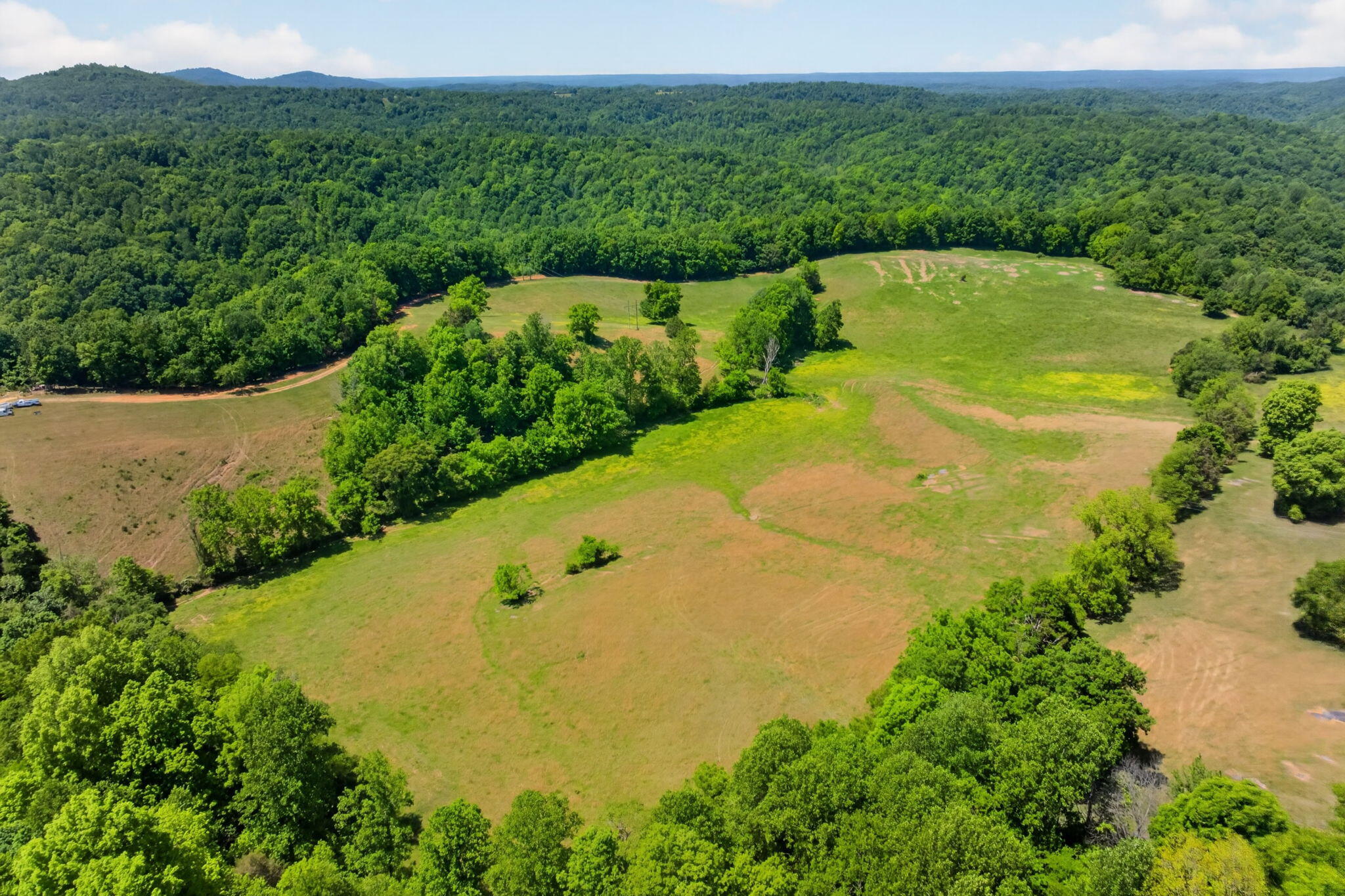 127.57 Ac Homer Watson Road Property Photo 21