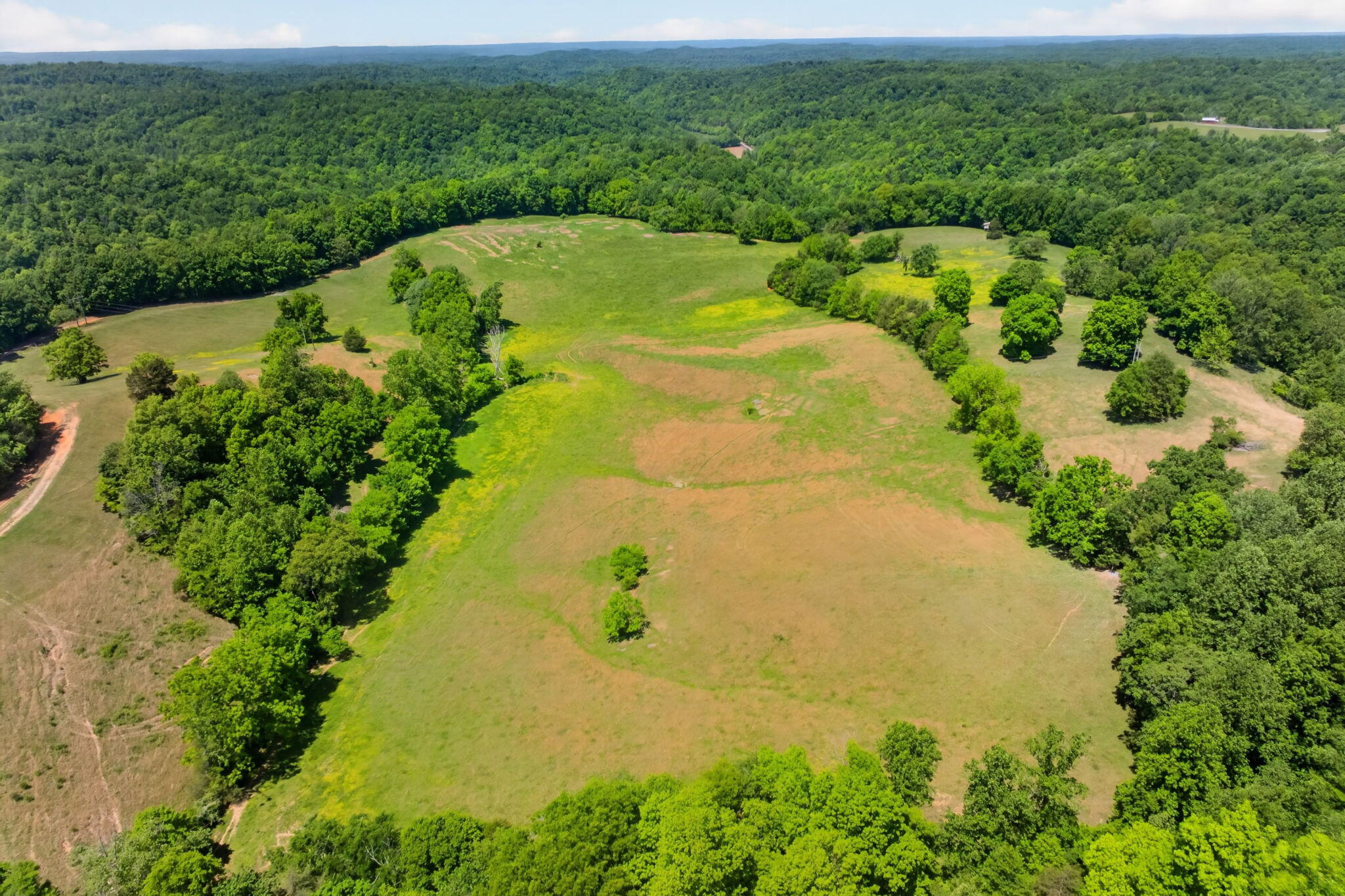 127.57 Ac Homer Watson Road Property Photo 22