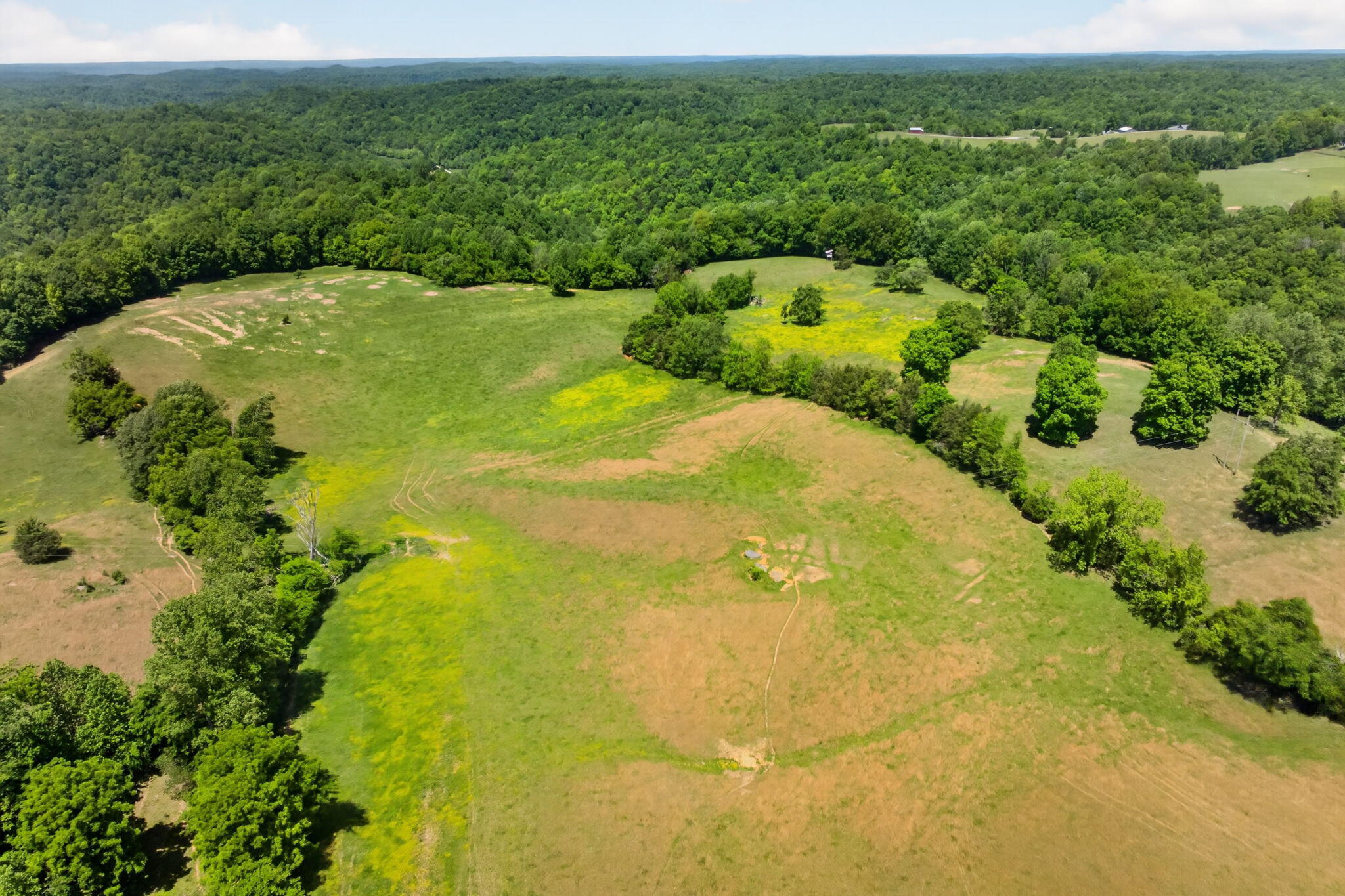 127.57 Ac Homer Watson Road Property Photo 24