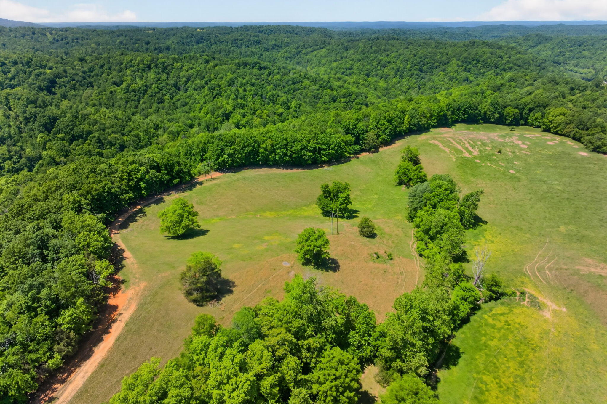 127.57 Ac Homer Watson Road Property Photo 25