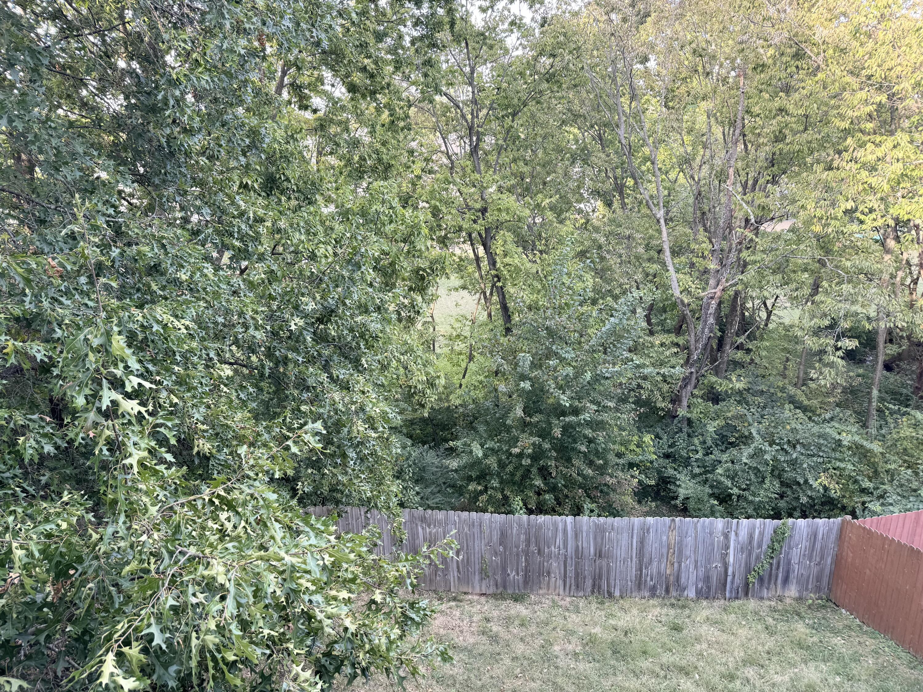 233 Bittersweet Way Property Photo 15