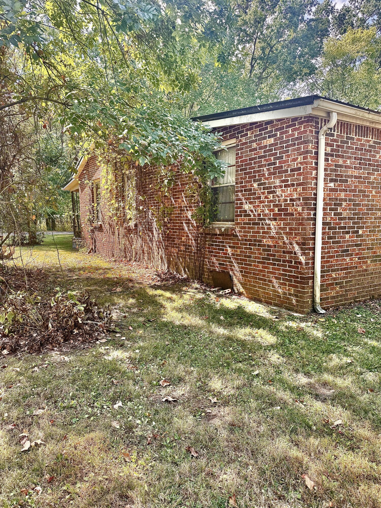 238 Merriweather Street Property Photo 6