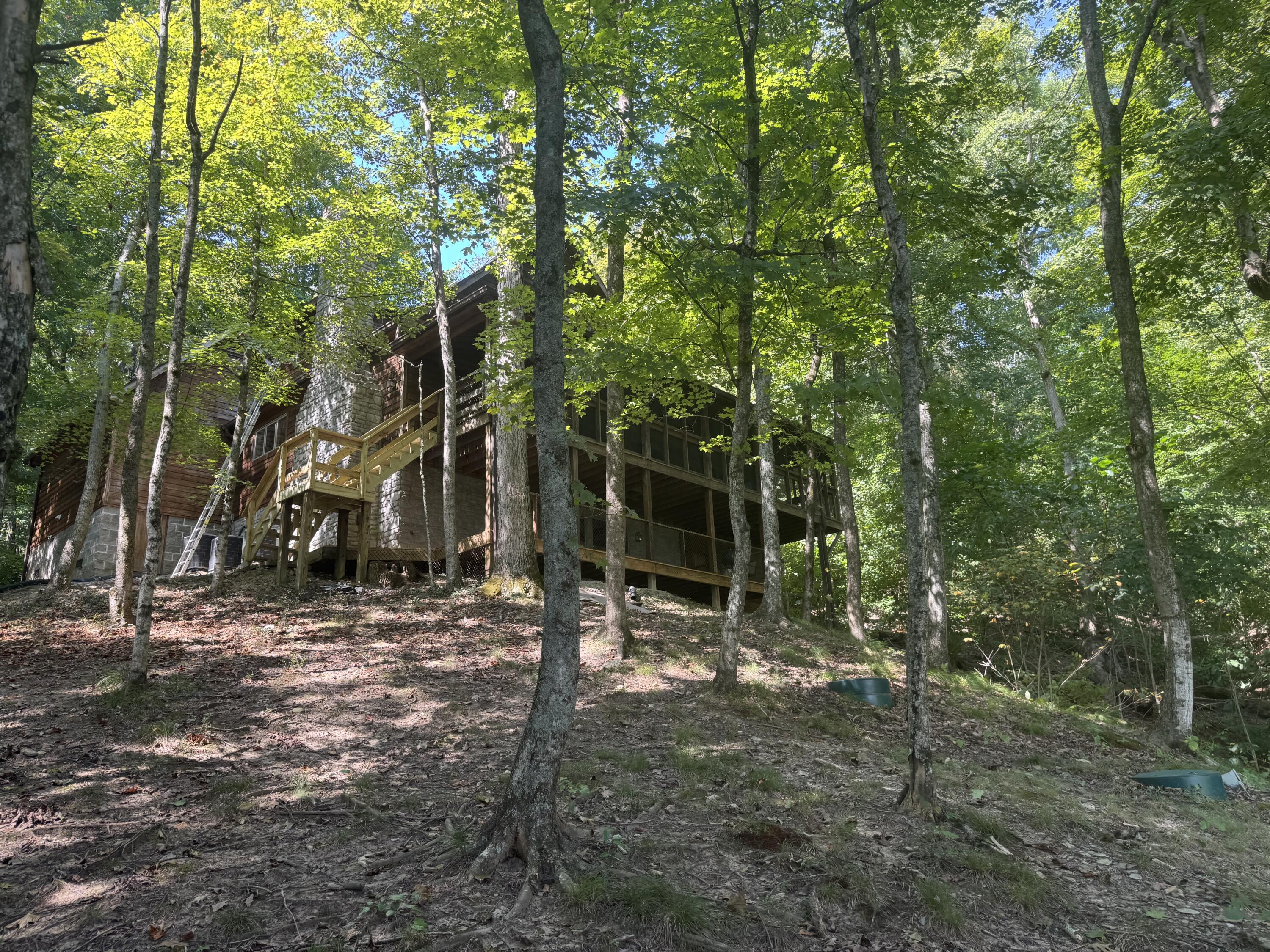 251 Buck Trl Drive Property Photo 4