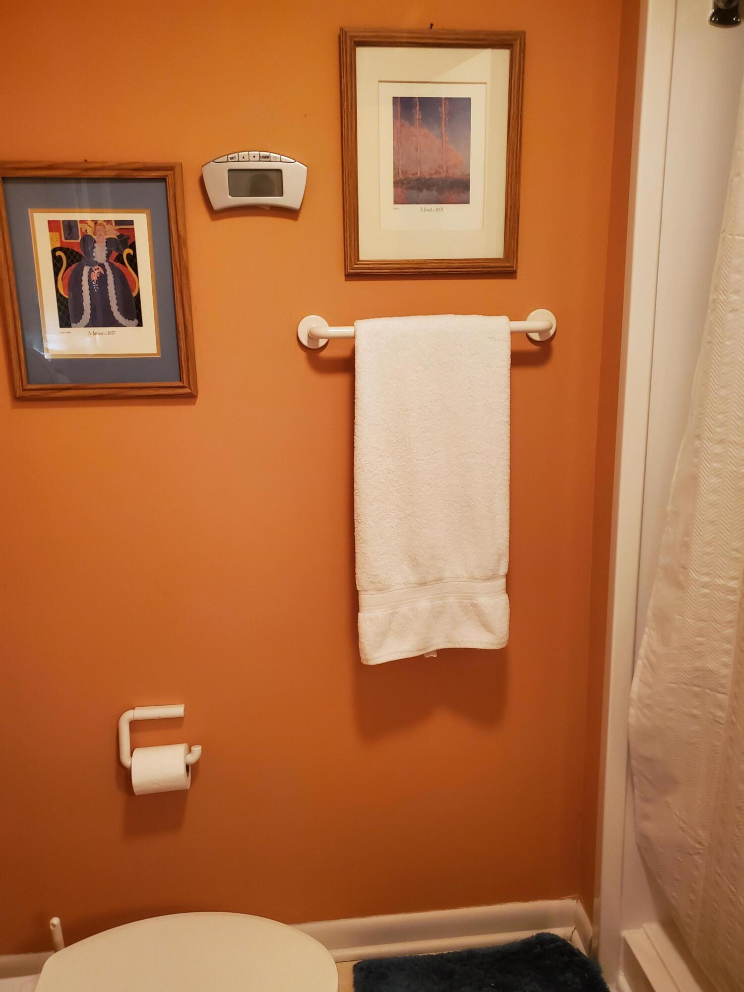 3236 Hunters Point Drive Property Photo 21