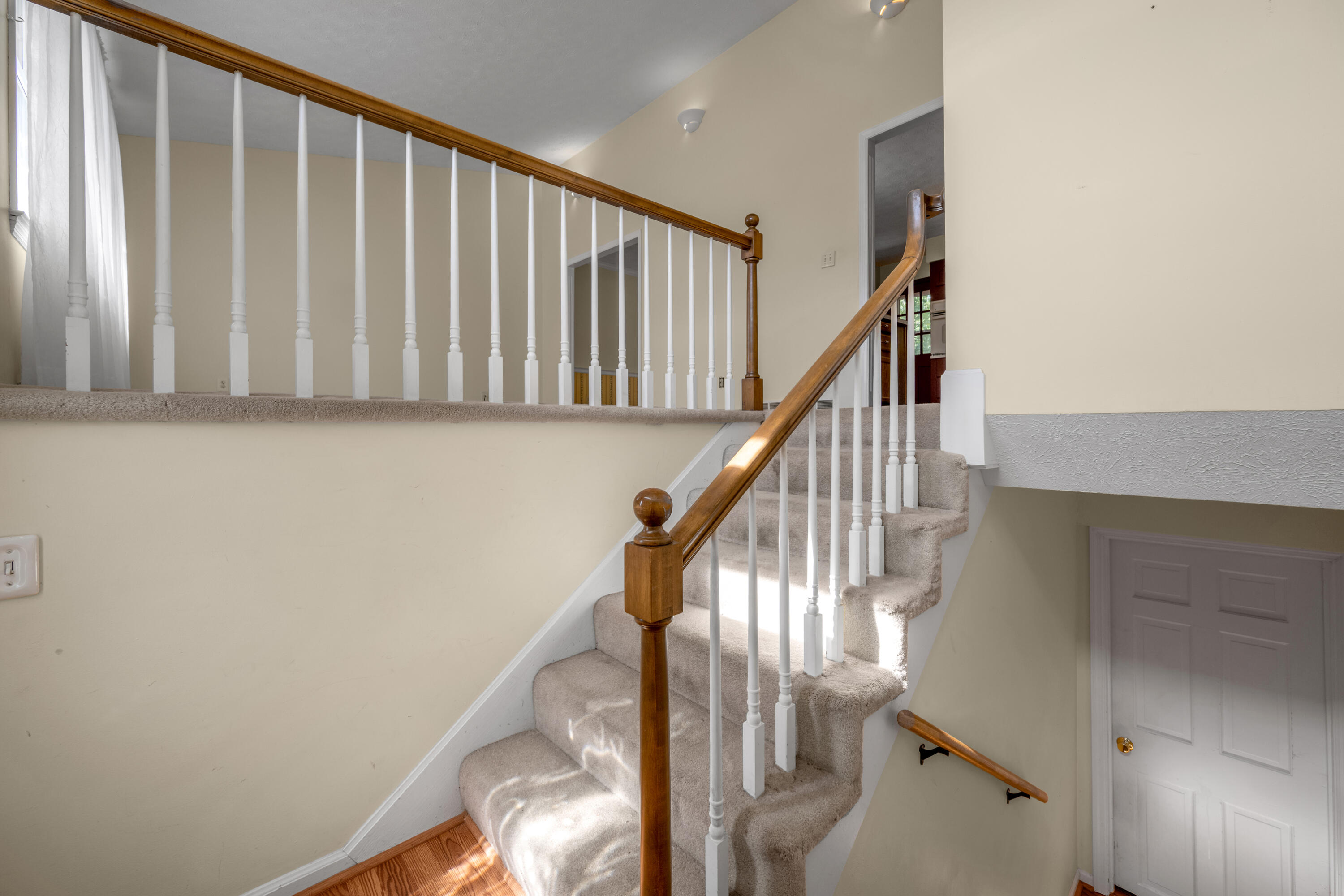 4368 Clemens Drive Property Photo 5