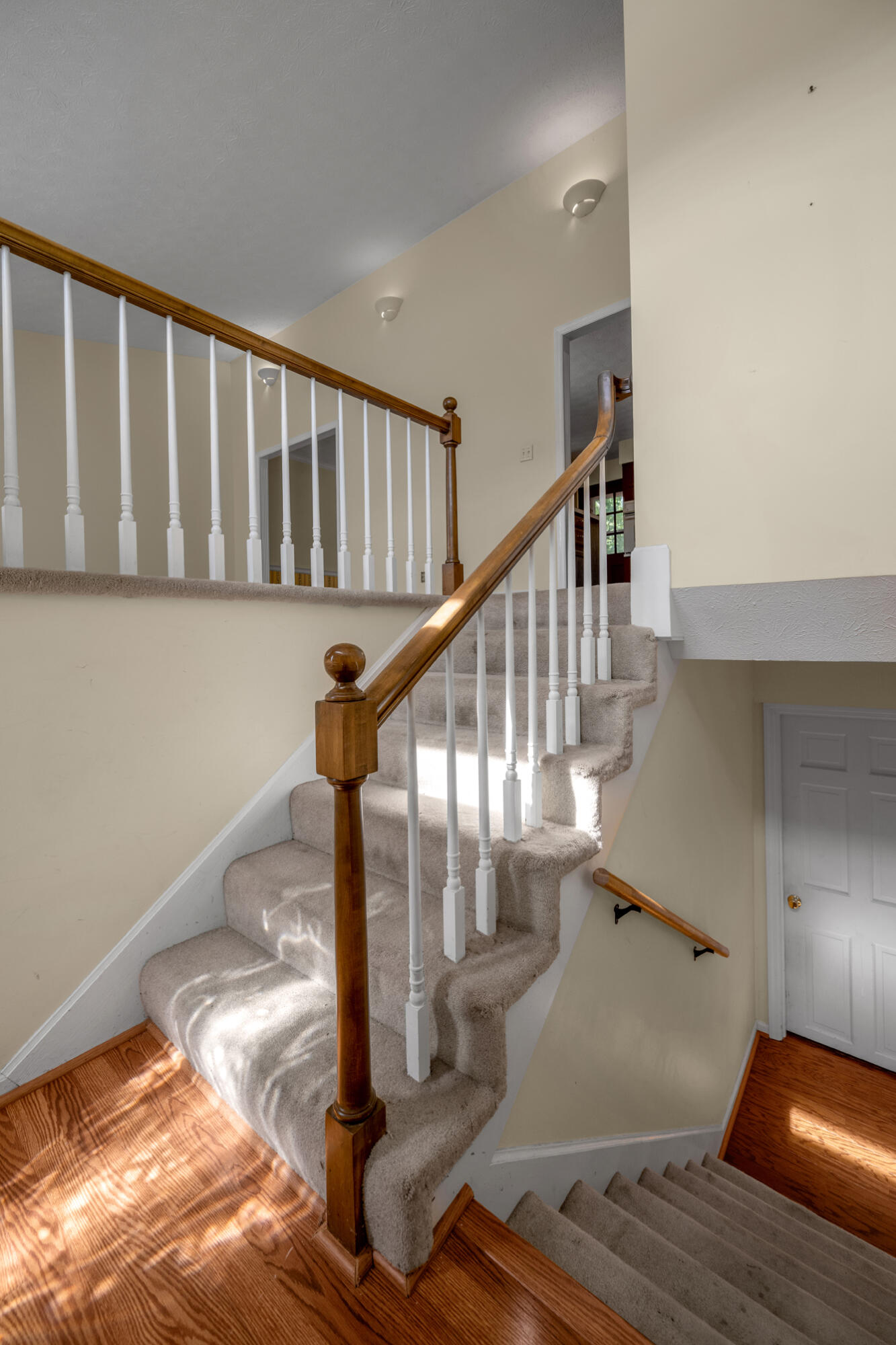 4368 Clemens Drive Property Photo 6