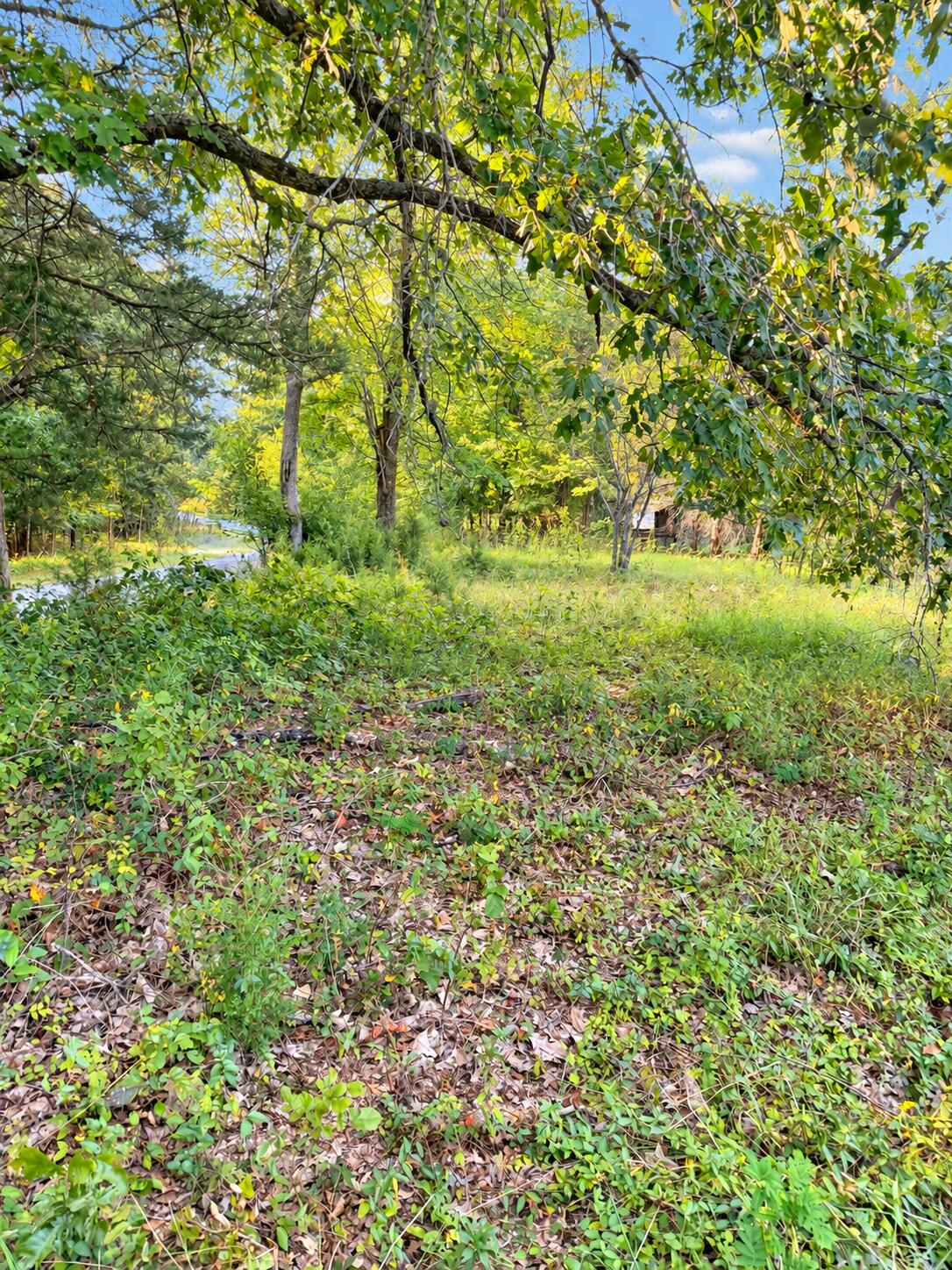 2400 Bethany Church Road Property Photo 3