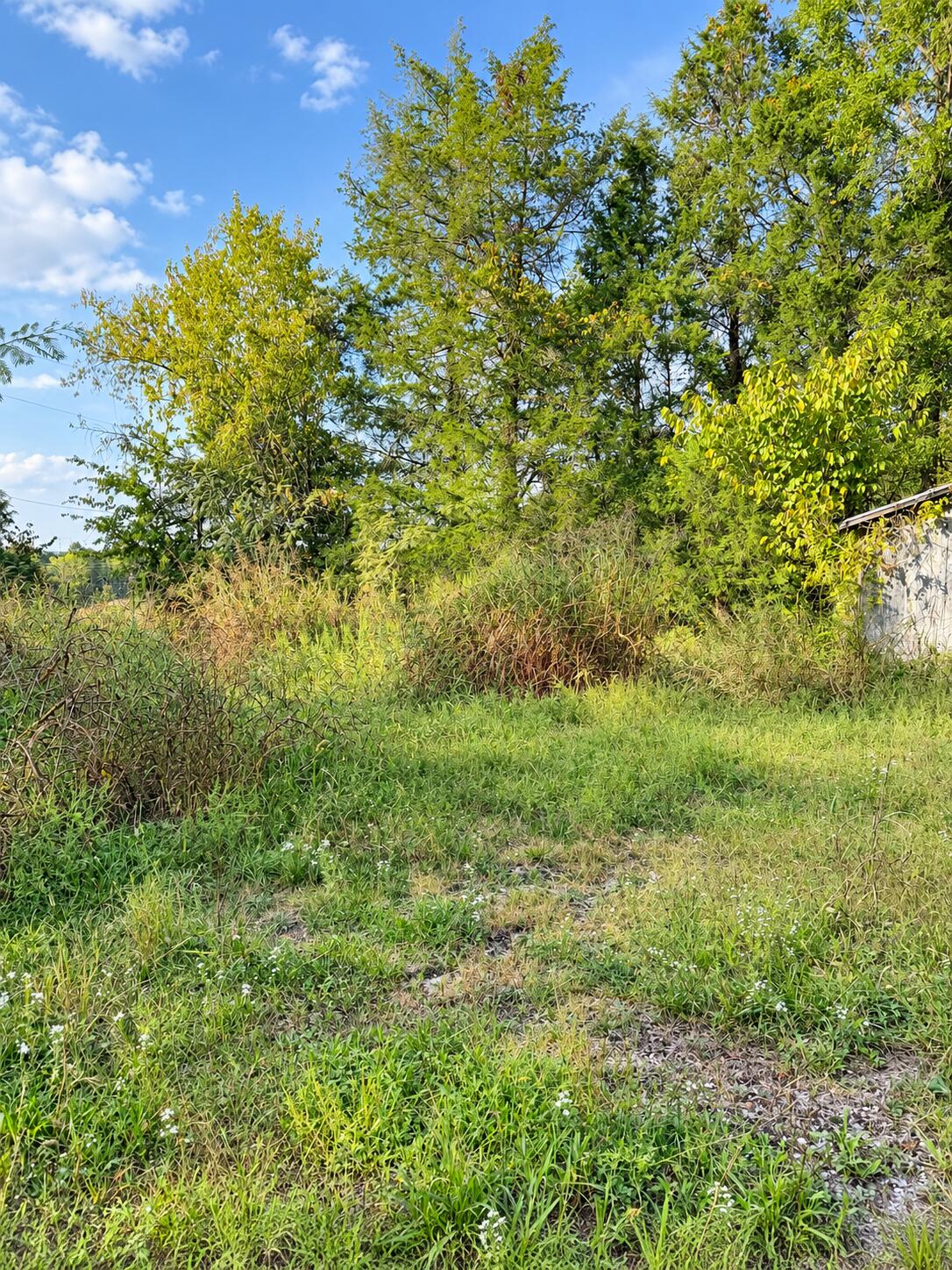 2400 Bethany Church Road Property Photo 5