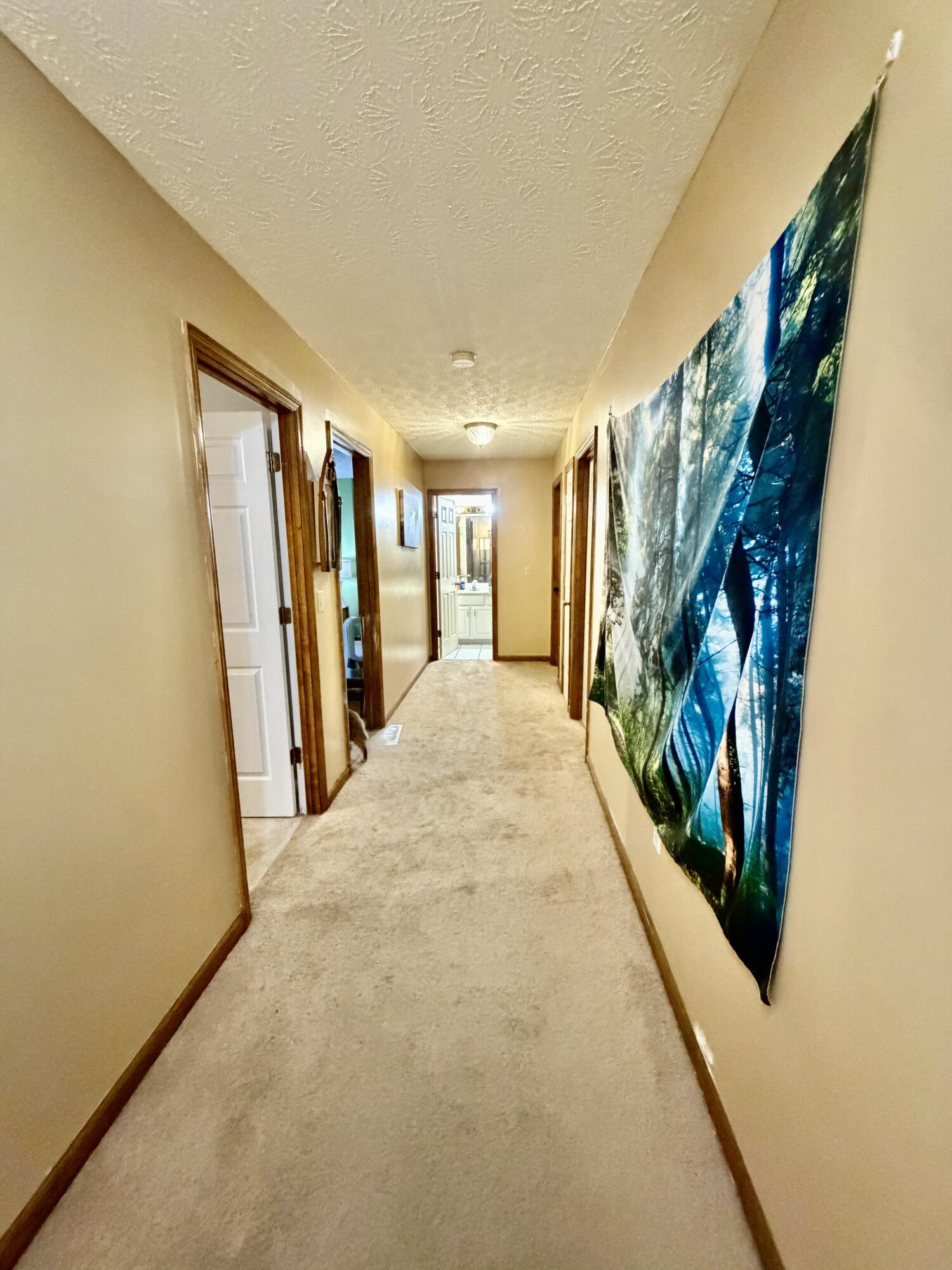 207 Rookwood Court Property Photo 21