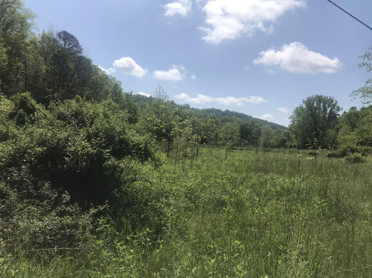 Tbd Aden Road Property Photo 3