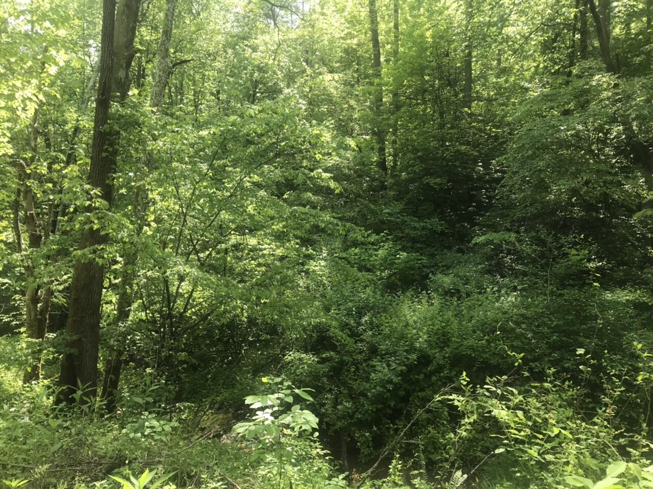 Tbd Aden Road Property Photo 11