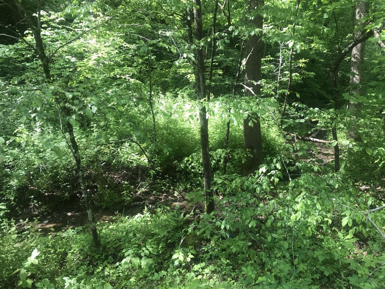 Tbd Aden Road Property Photo 12