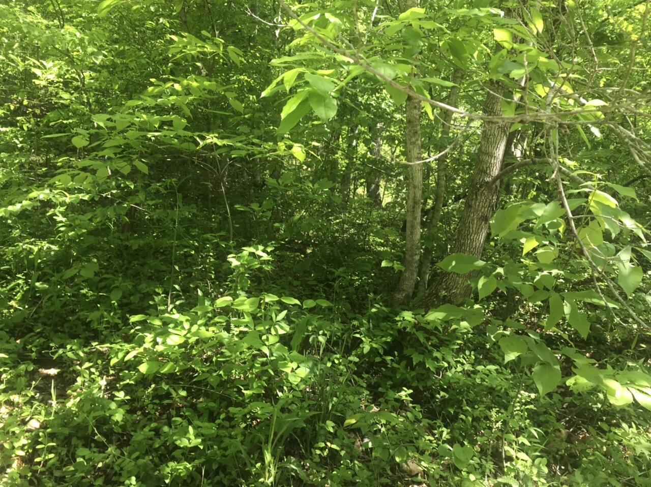 Tbd Aden Road Property Photo 13