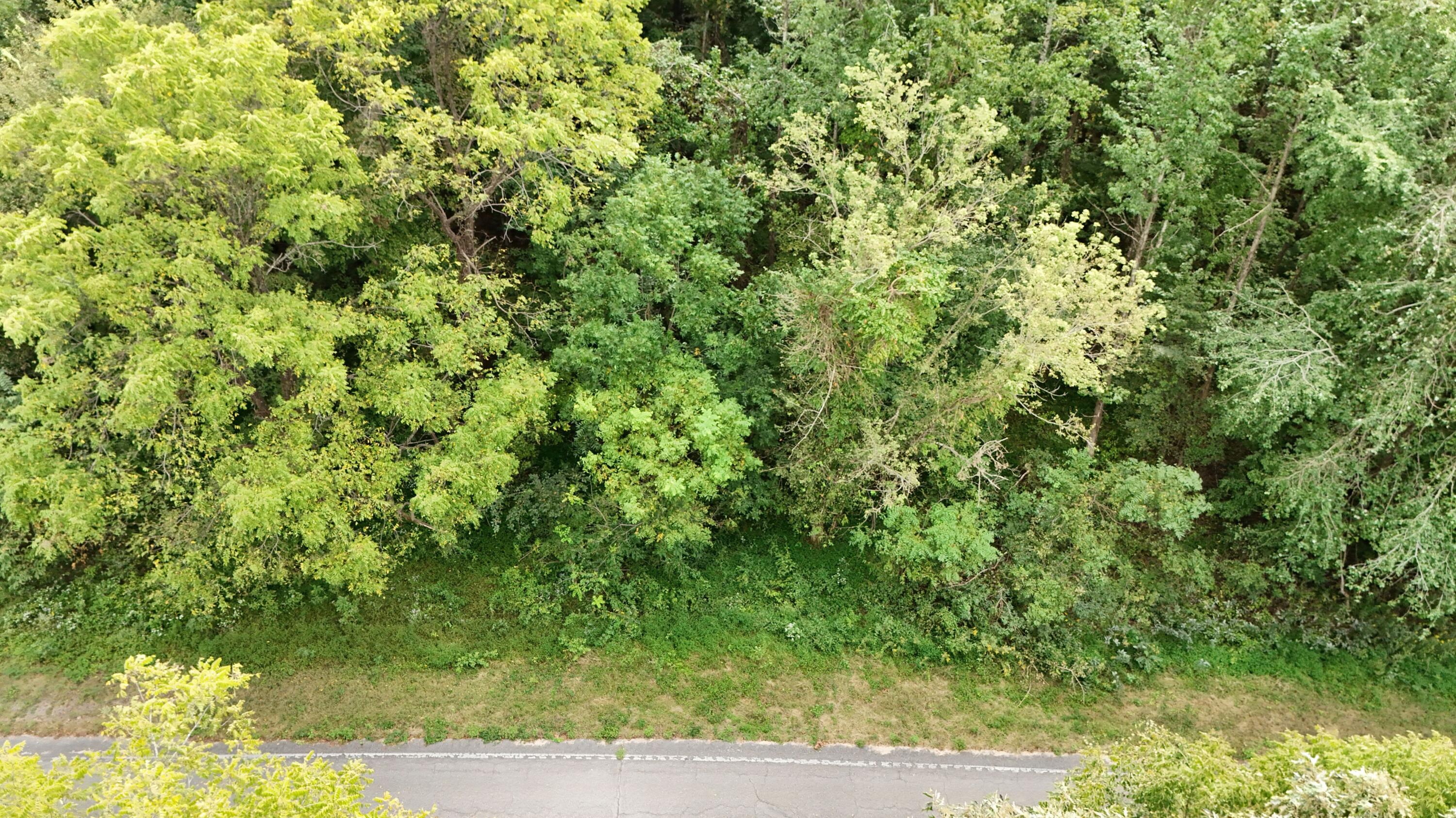 999 Wickliffe Road Property Photo 9