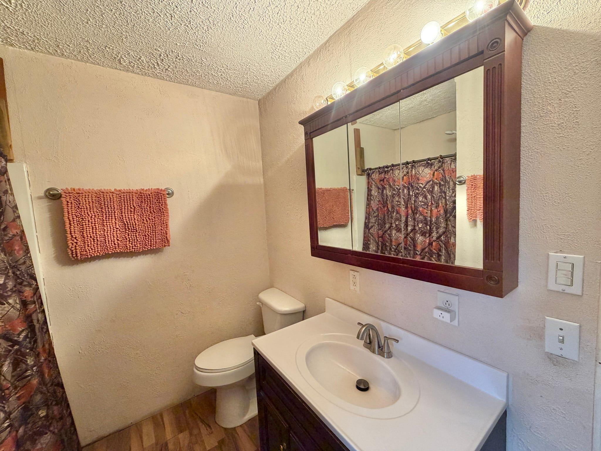 9074 Middle Fork Wolf Creek Road Property Photo 12