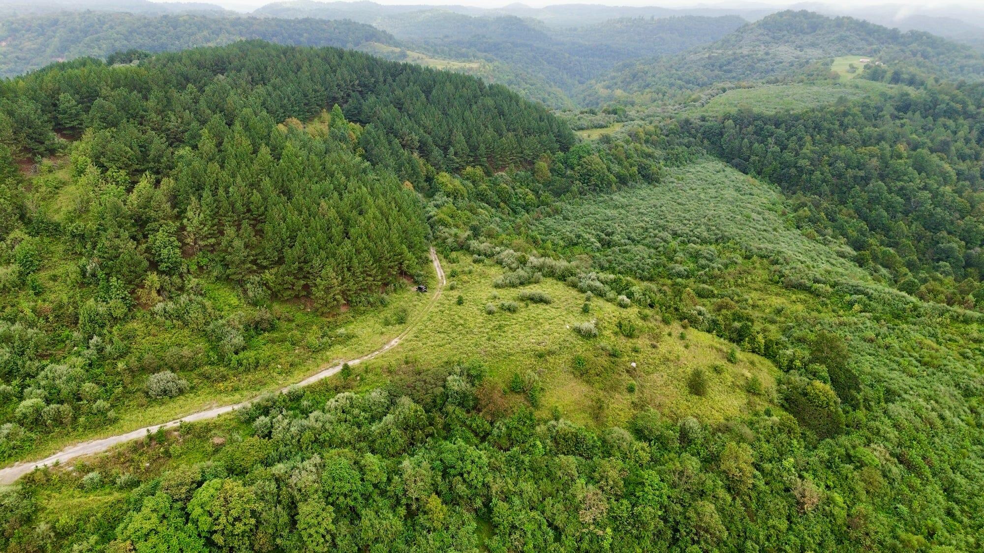 9074 Middle Fork Wolf Creek Road Property Photo 35