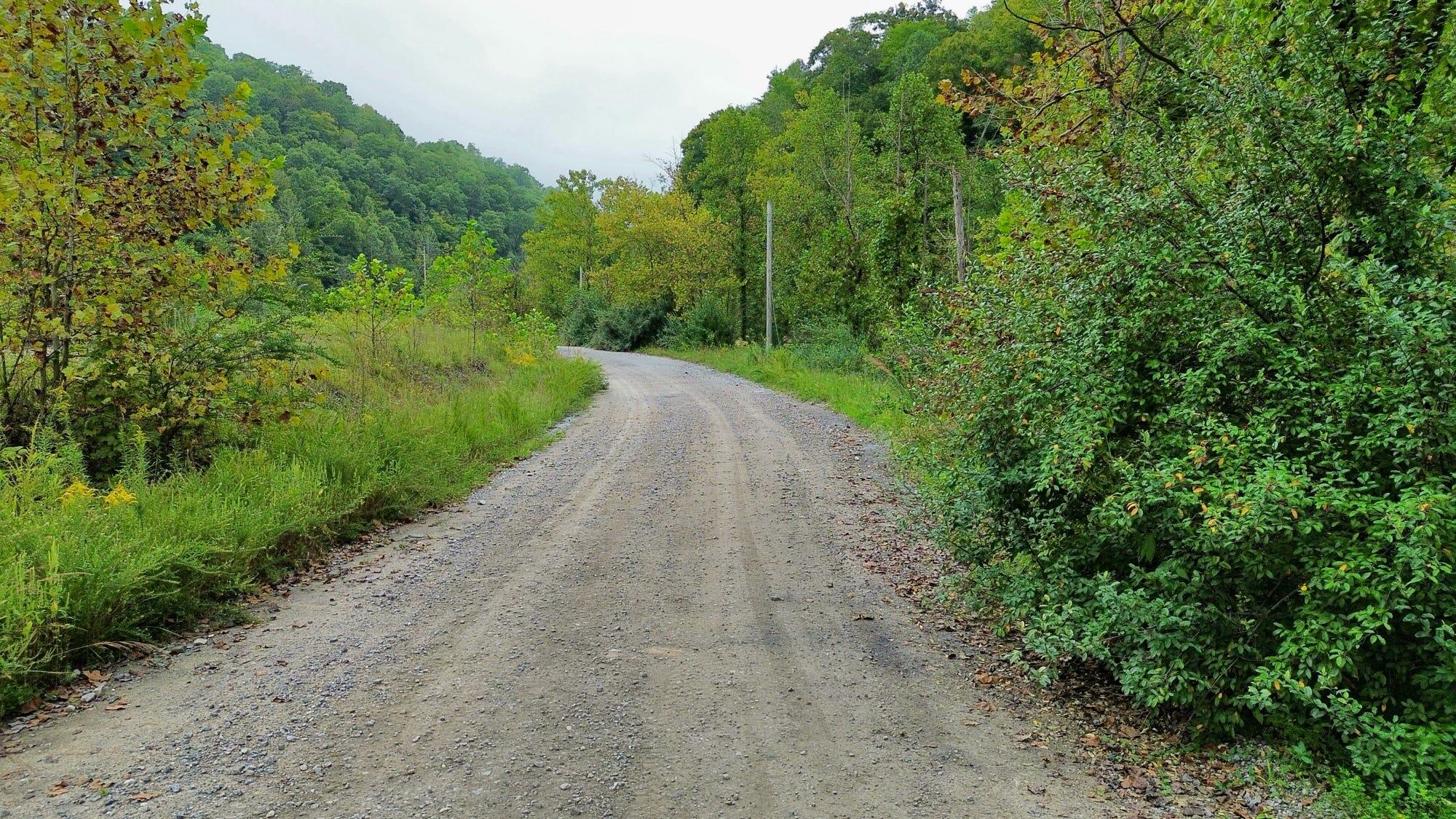 9074 Middle Fork Wolf Creek Road Property Photo 43