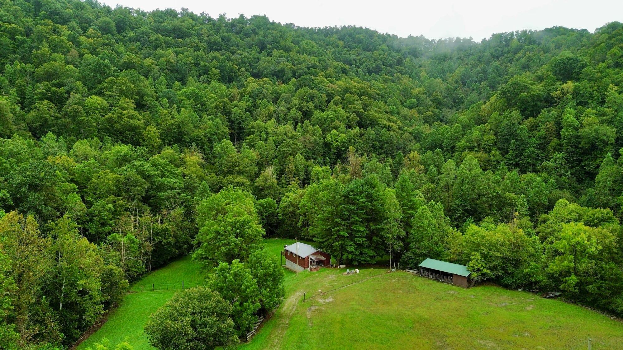 9074 Middle Fork Wolf Creek Road Property Photo 53
