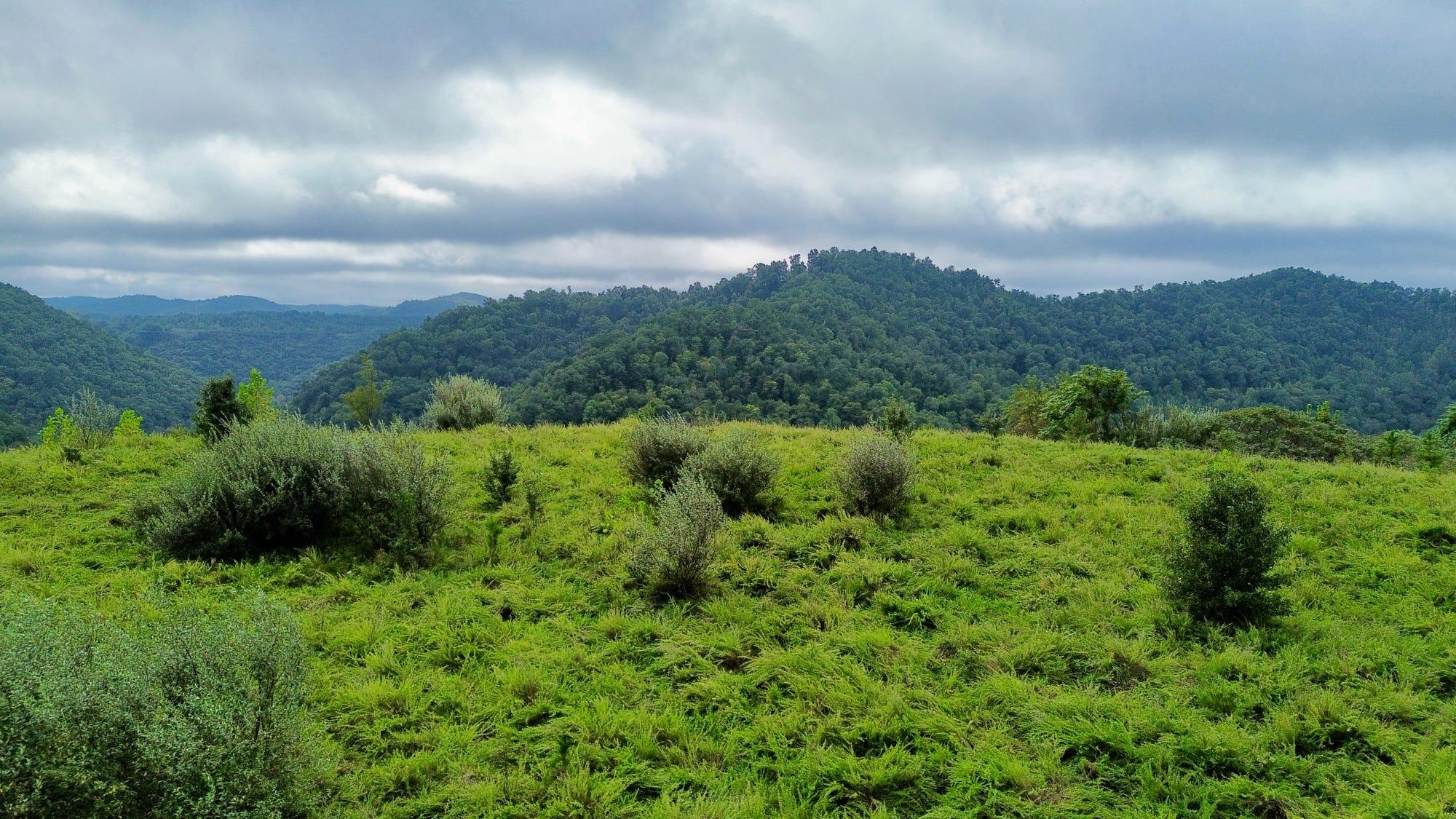 9074 Middle Fork Wolf Creek Road Property Photo 68