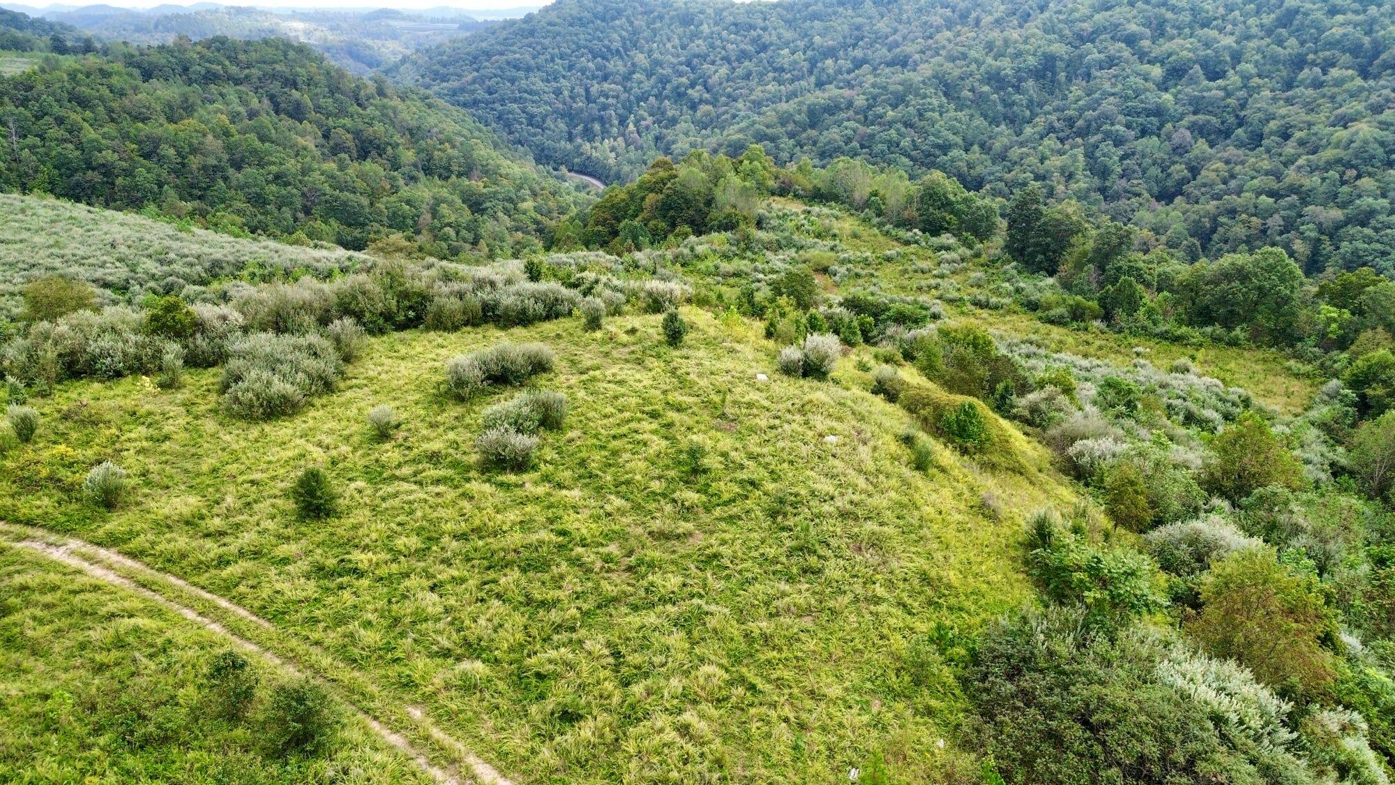 9074 Middle Fork Wolf Creek Road Property Photo 71