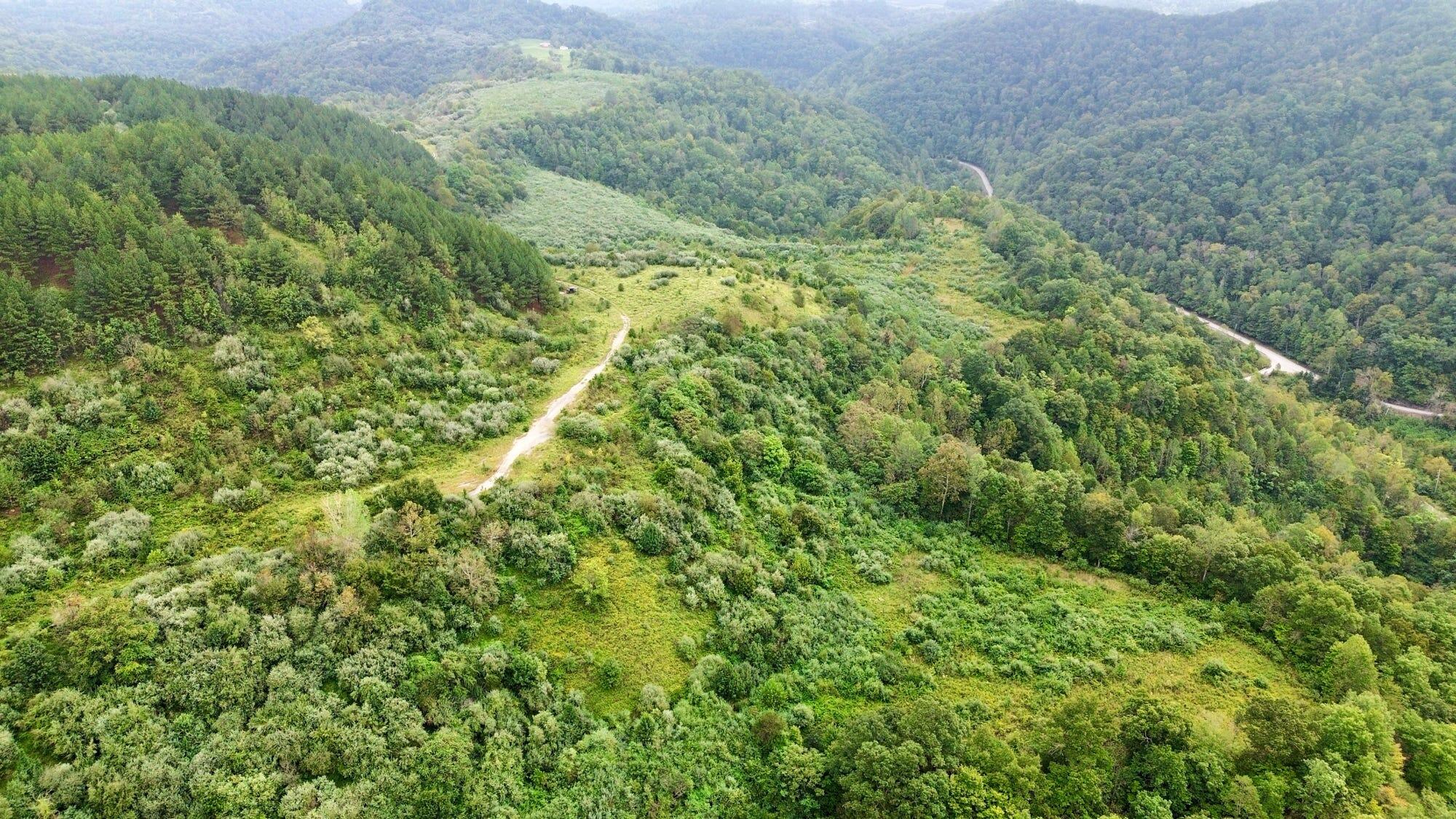 9074 Middle Fork Wolf Creek Road Property Photo 74