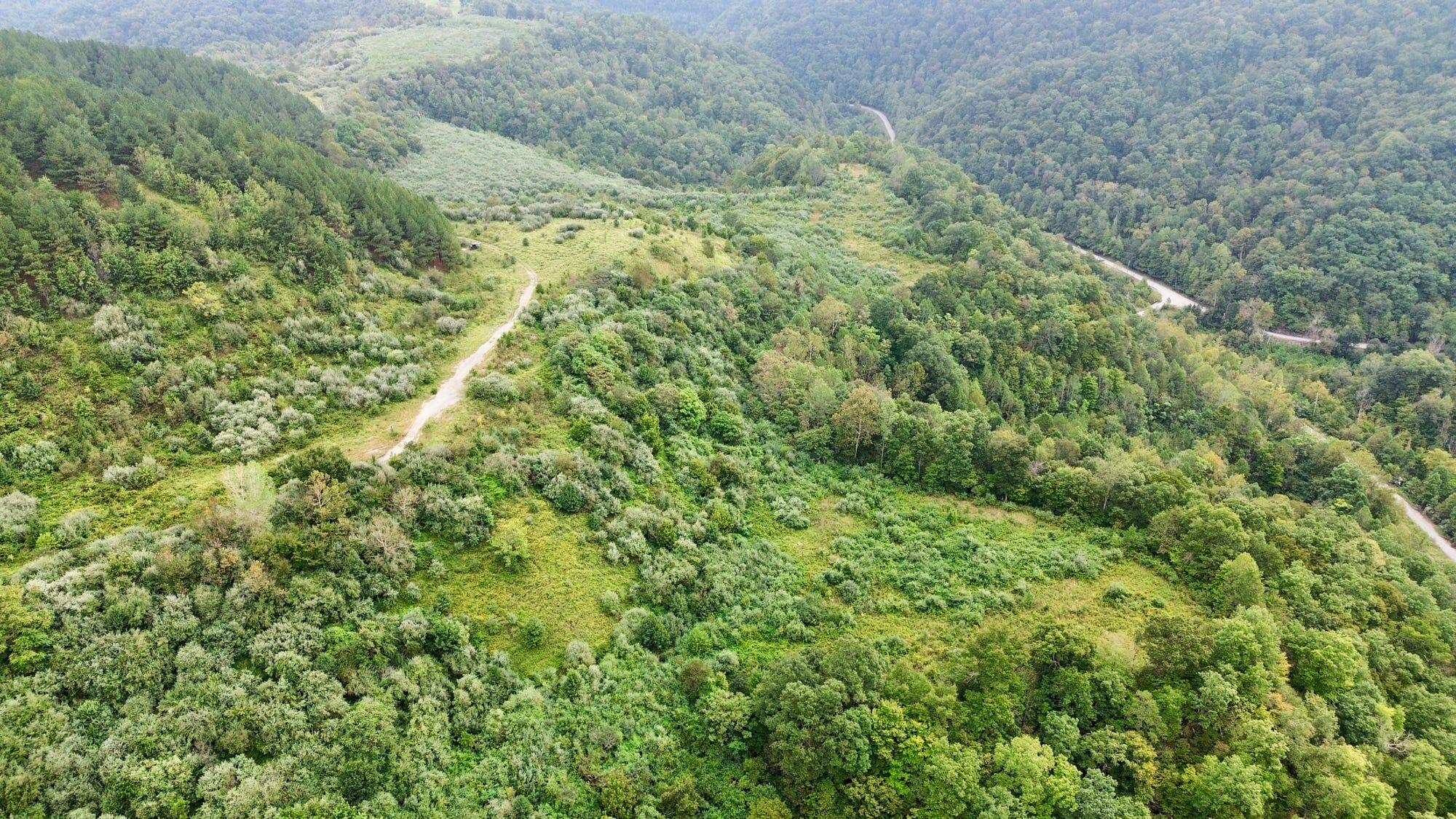9074 Middle Fork Wolf Creek Road Property Photo 76
