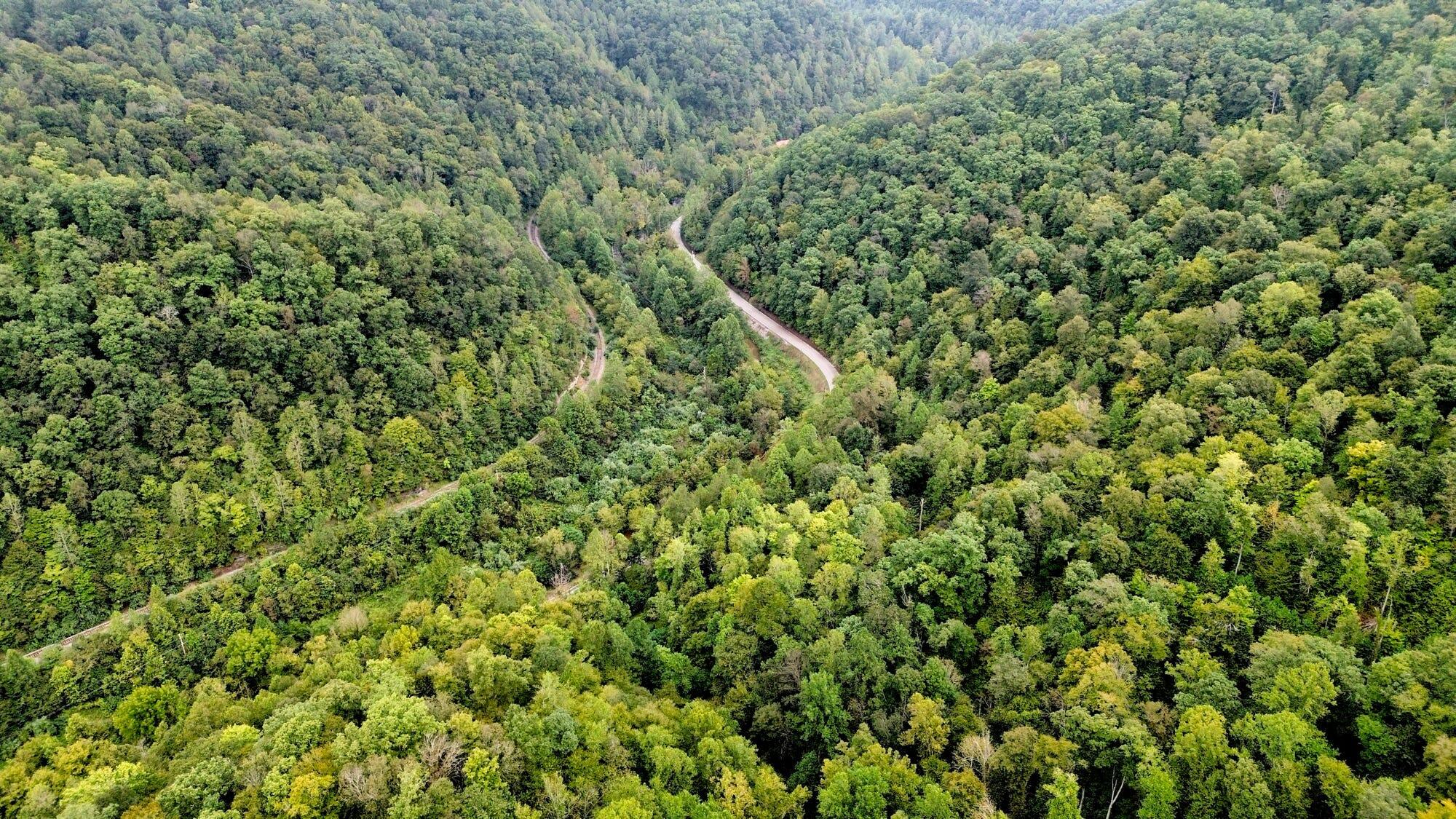 9074 Middle Fork Wolf Creek Road Property Photo 79
