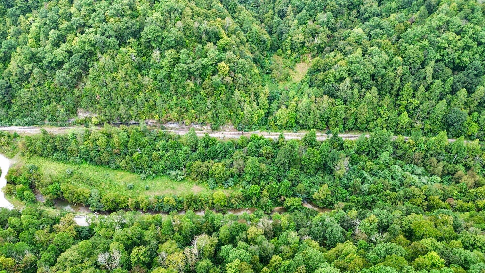 9074 Middle Fork Wolf Creek Road Property Photo 89