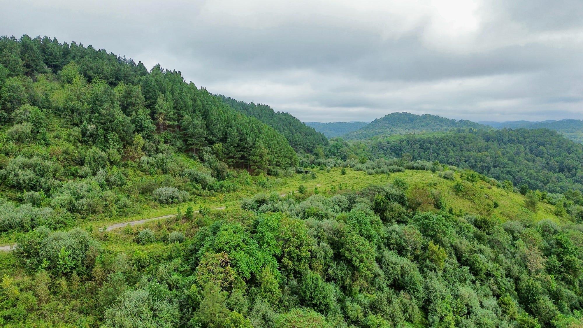 9074 Middle Fork Wolf Creek Road Property Photo 98