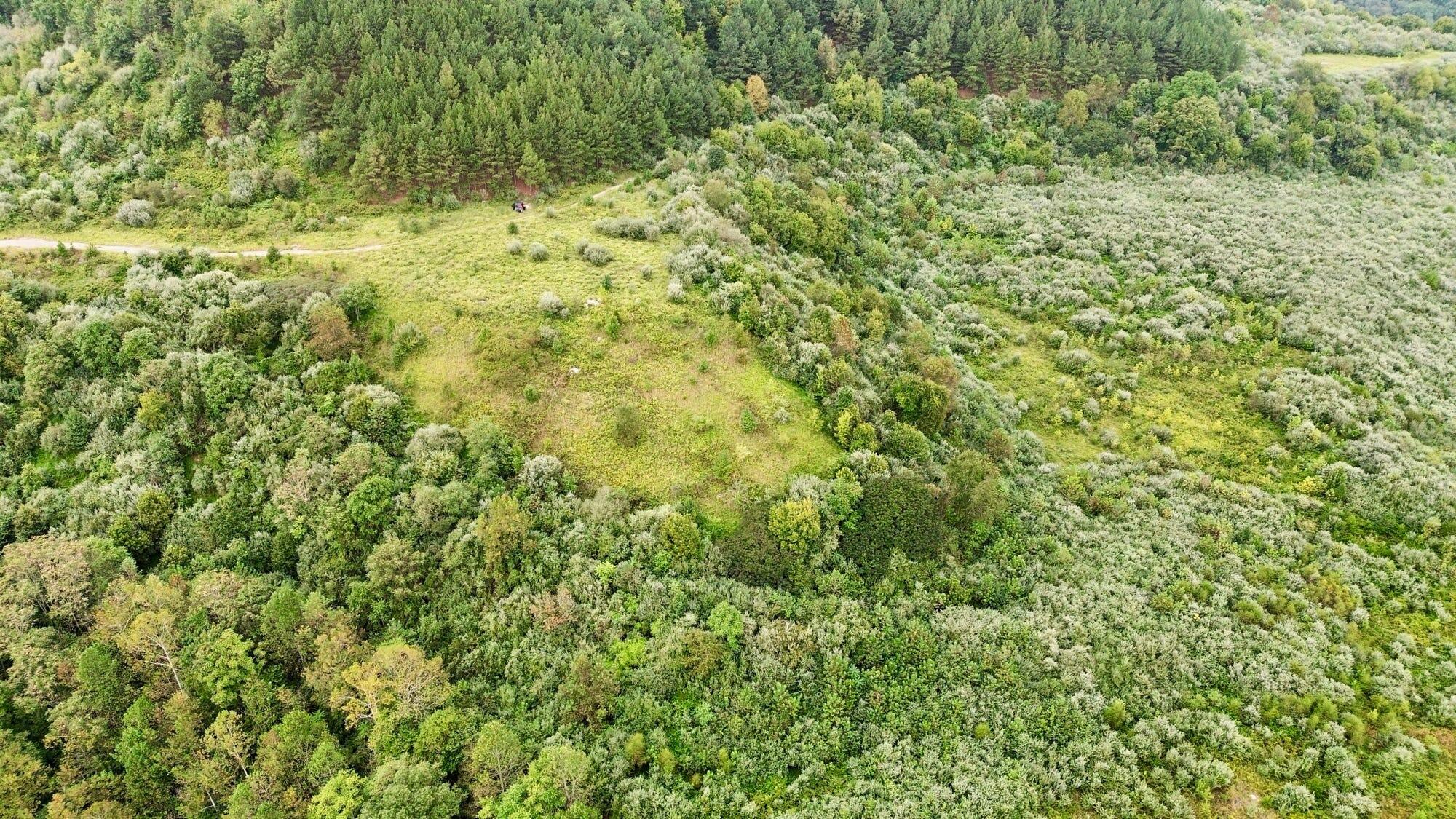 9074 Middle Fork Wolf Creek Road Property Photo 109