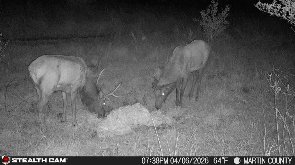 9074 Middle Fork Wolf Creek Road Property Photo 121