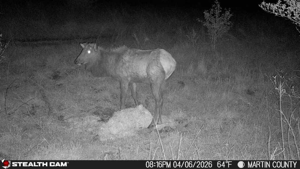 9074 Middle Fork Wolf Creek Road Property Photo 123