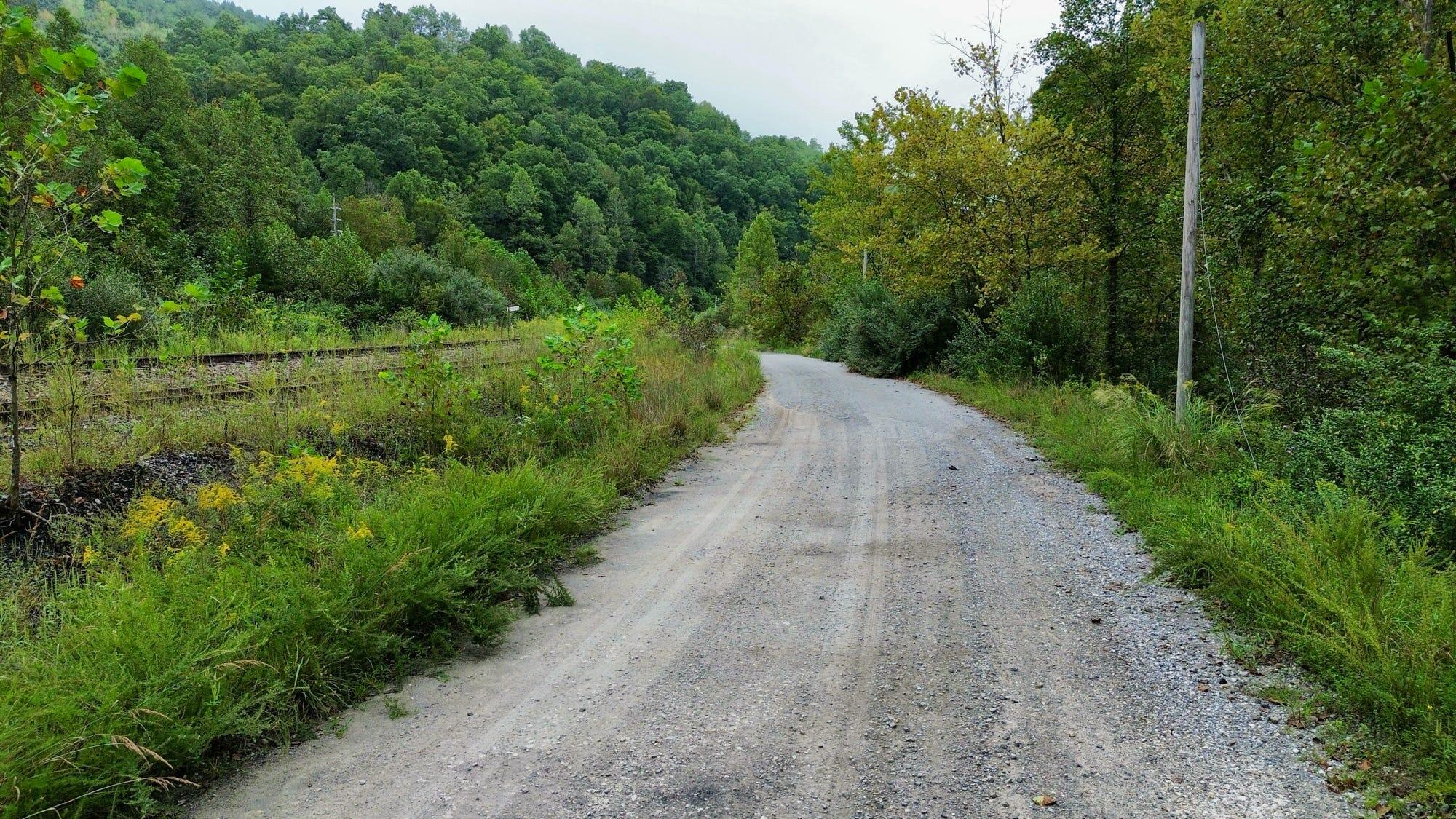 9074 Middle Fork Wolf Creek Road Property Photo 49