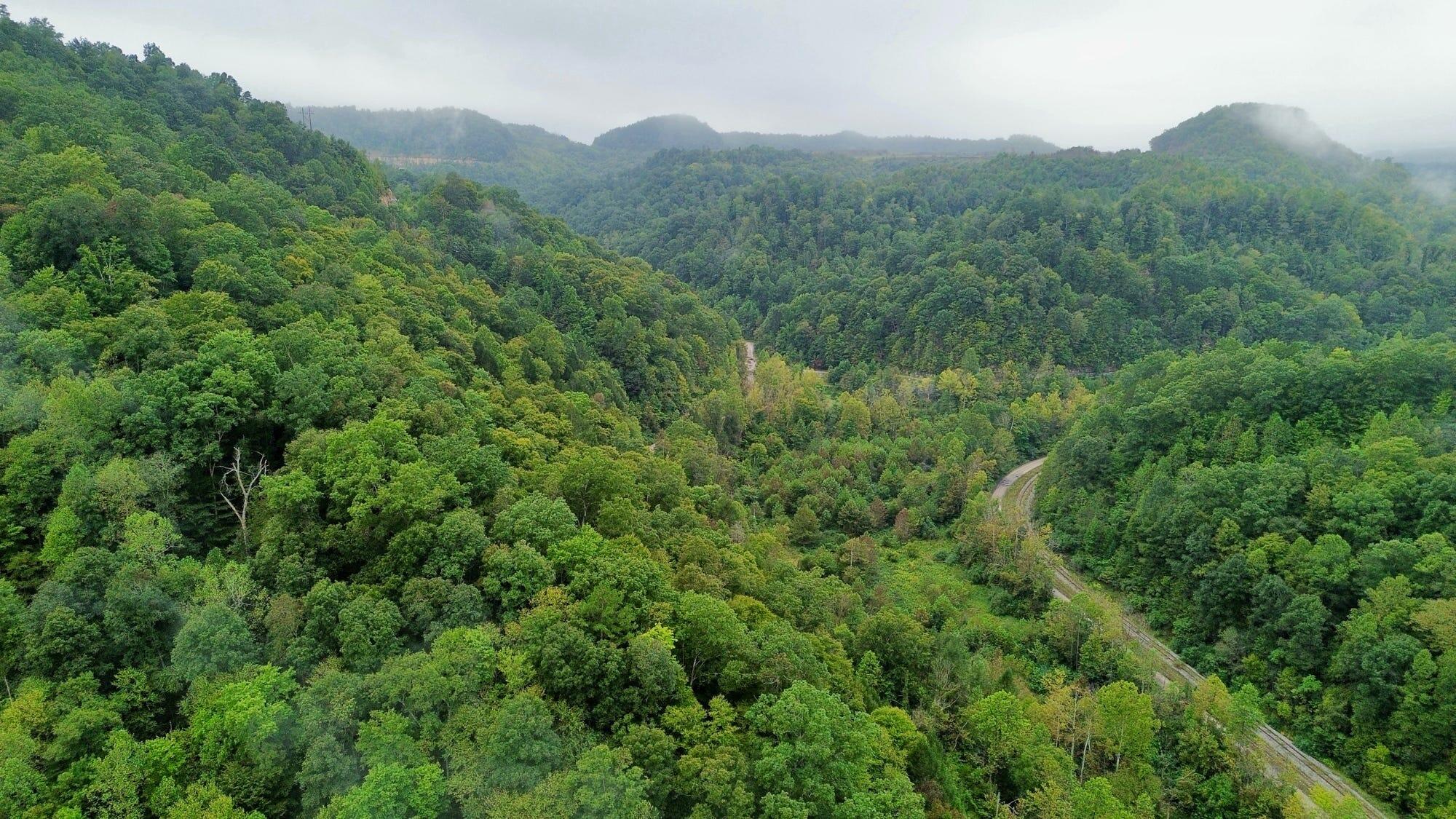 9074 Middle Fork Wolf Creek Road Property Photo 62