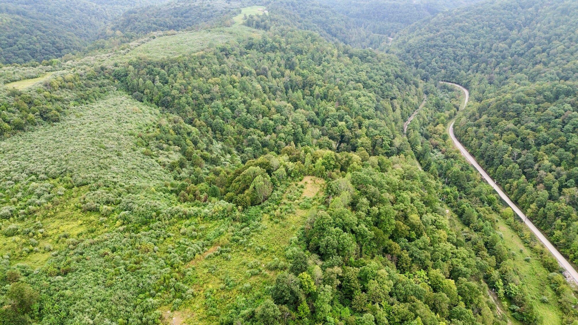 9074 Middle Fork Wolf Creek Road Property Photo 74