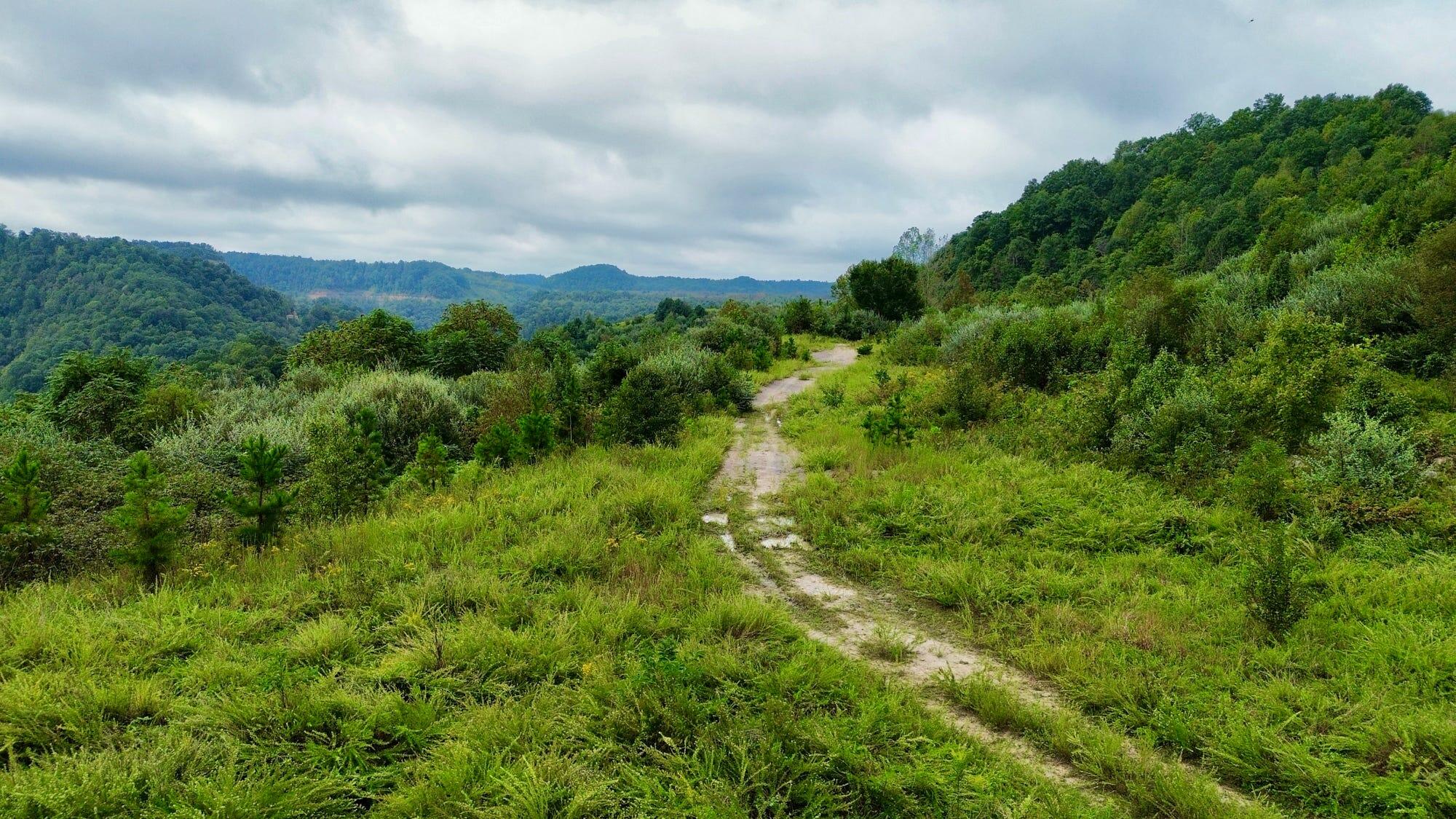9074 Middle Fork Wolf Creek Road Property Photo 81