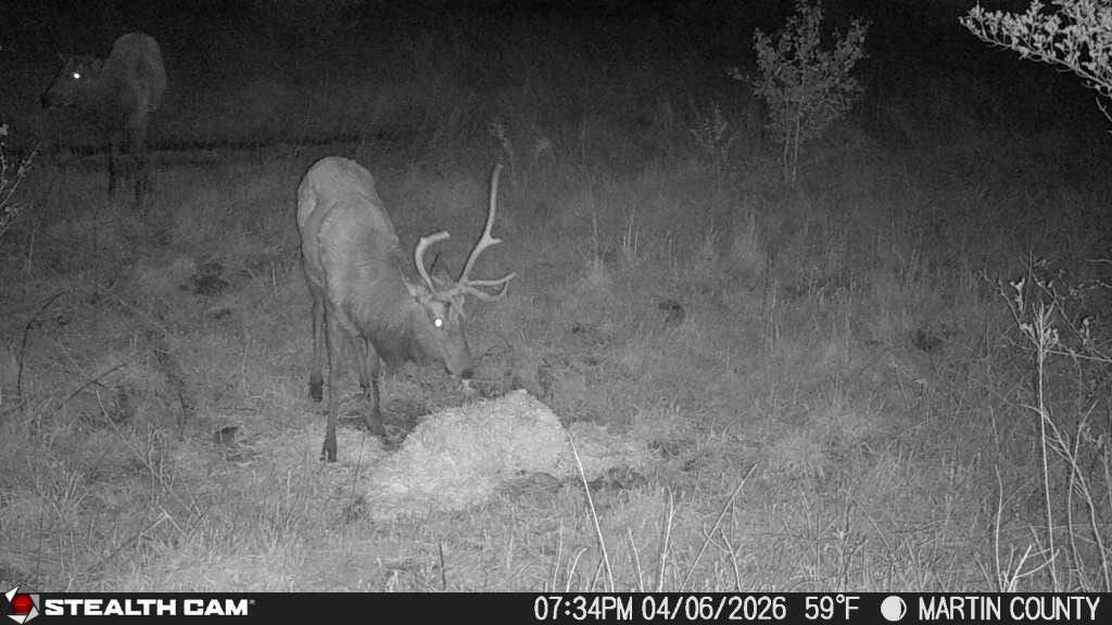 9074 Middle Fork Wolf Creek Road Property Photo 126