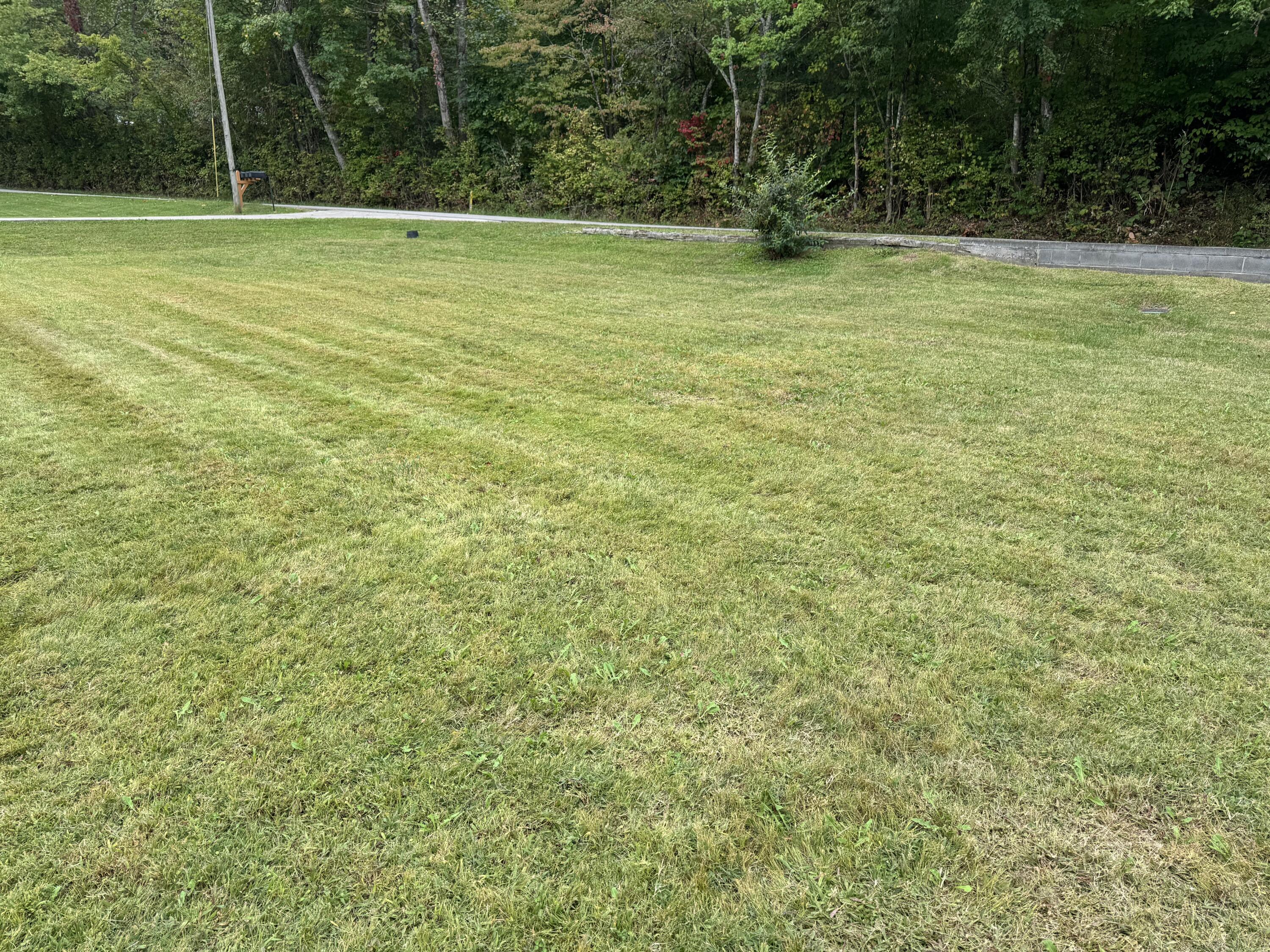 94 Vine View Drive Property Photo 5