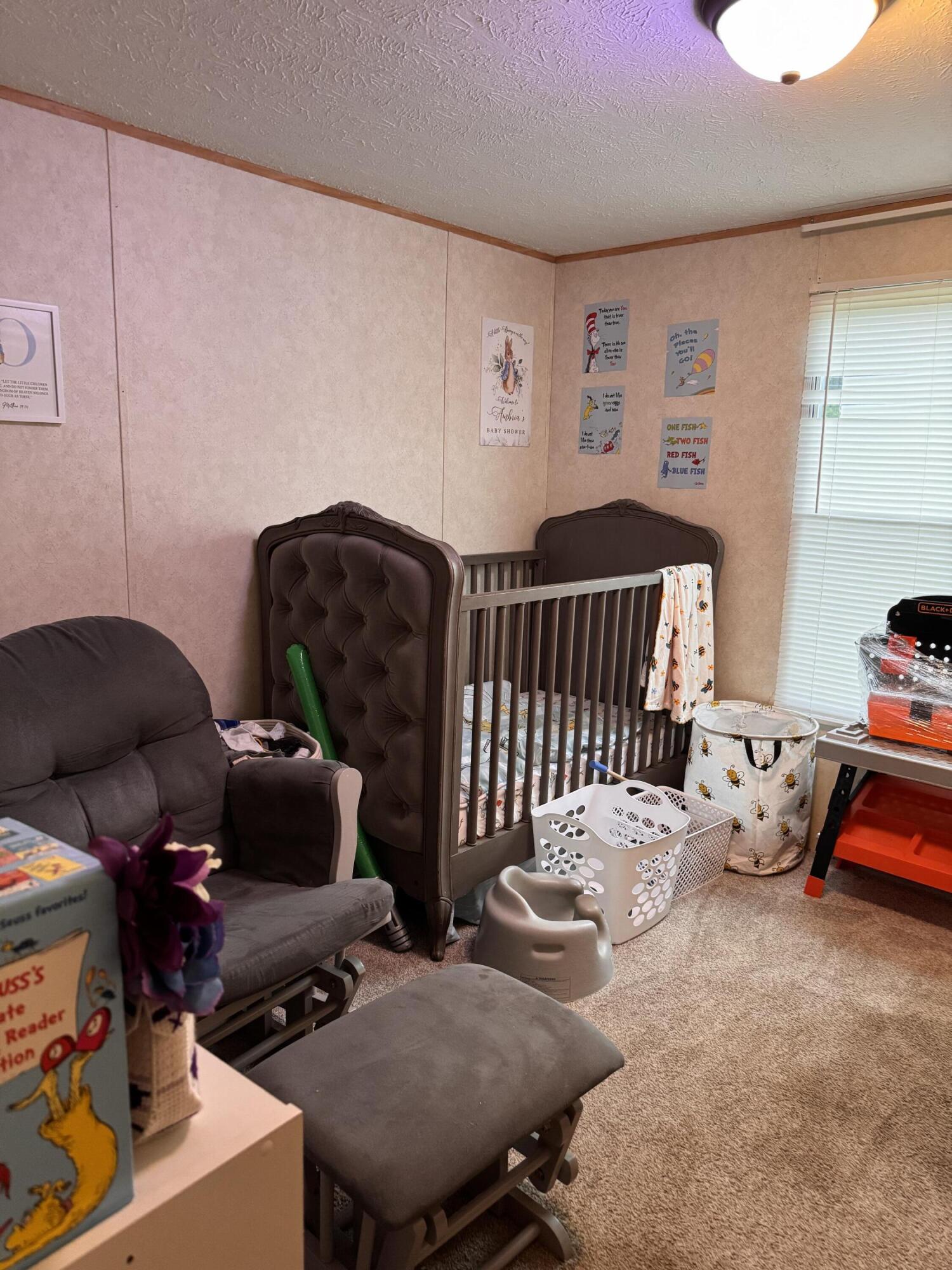 645 Charlie Abney Road Property Photo 10