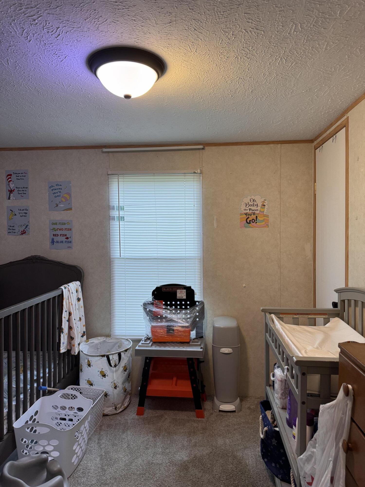 645 Charlie Abney Road Property Photo 11