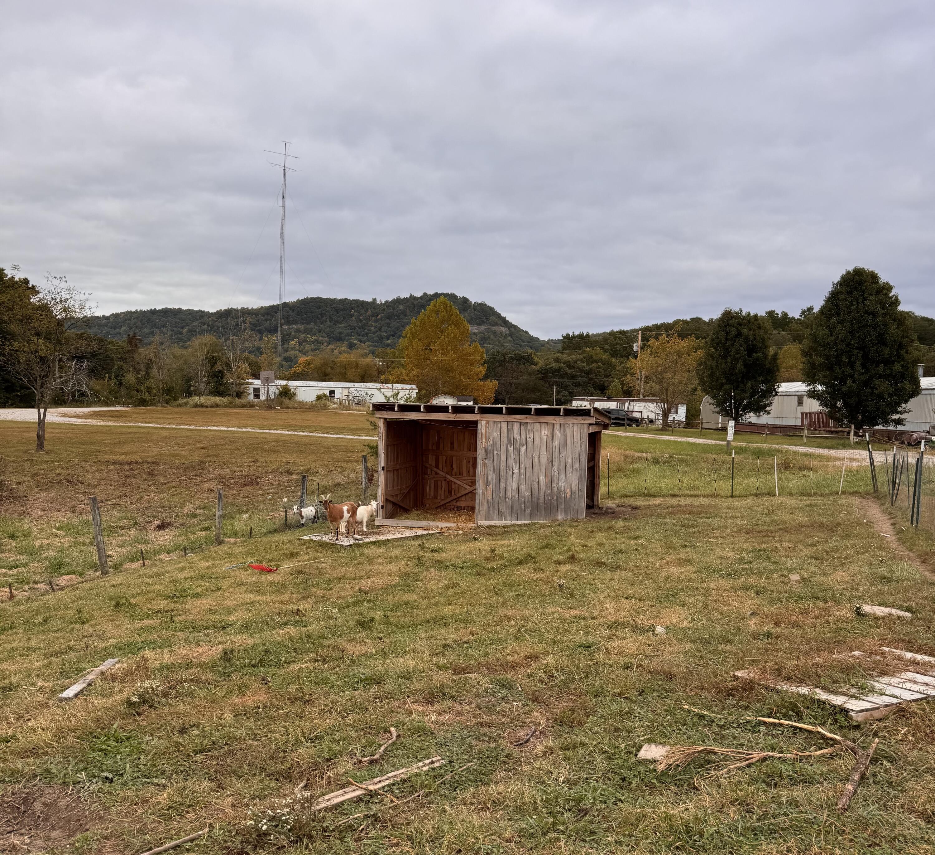 645 Charlie Abney Road Property Photo 14