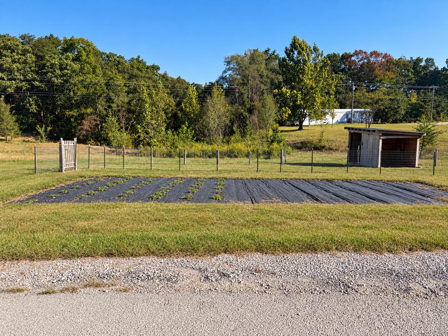 645 Charlie Abney Road Property Photo 16